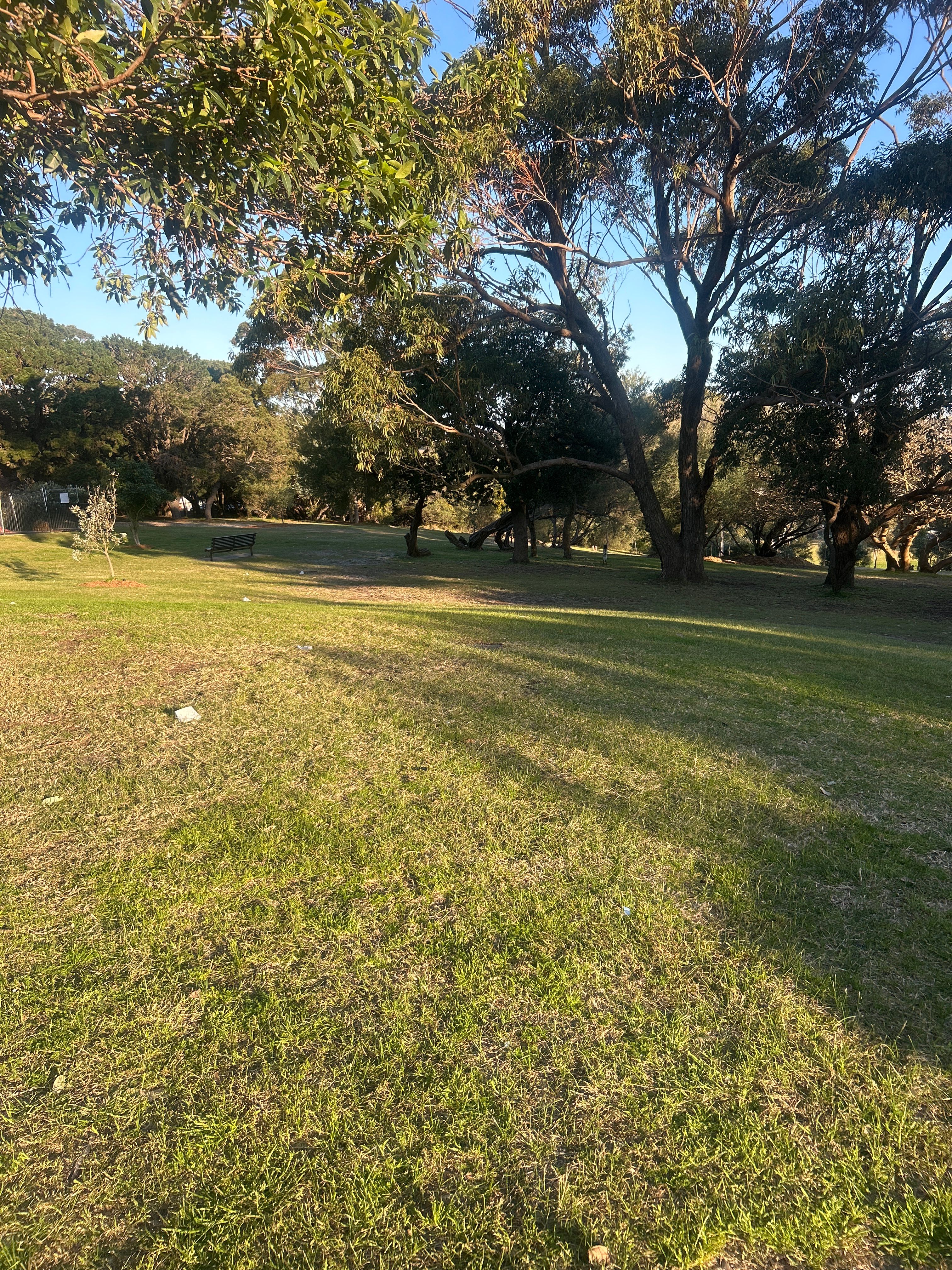 image-20