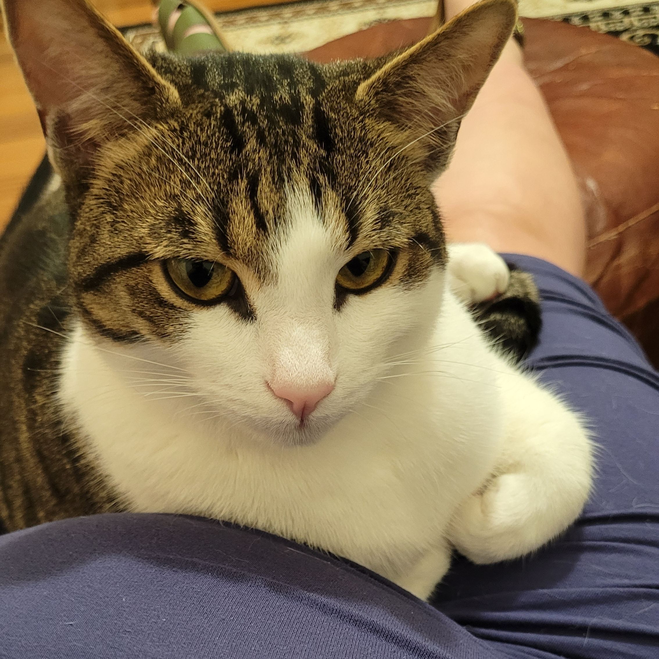 Charlie