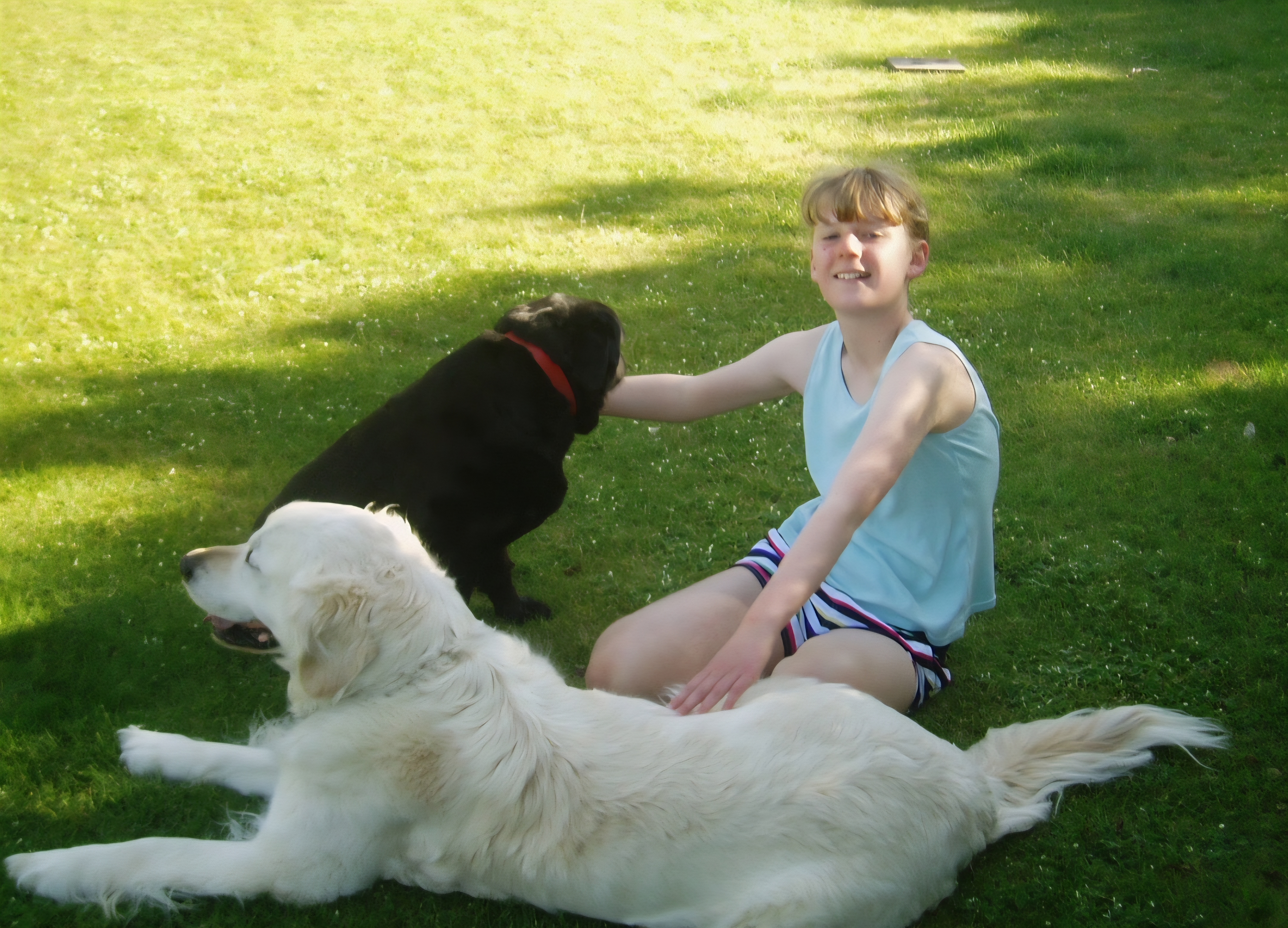 image-8