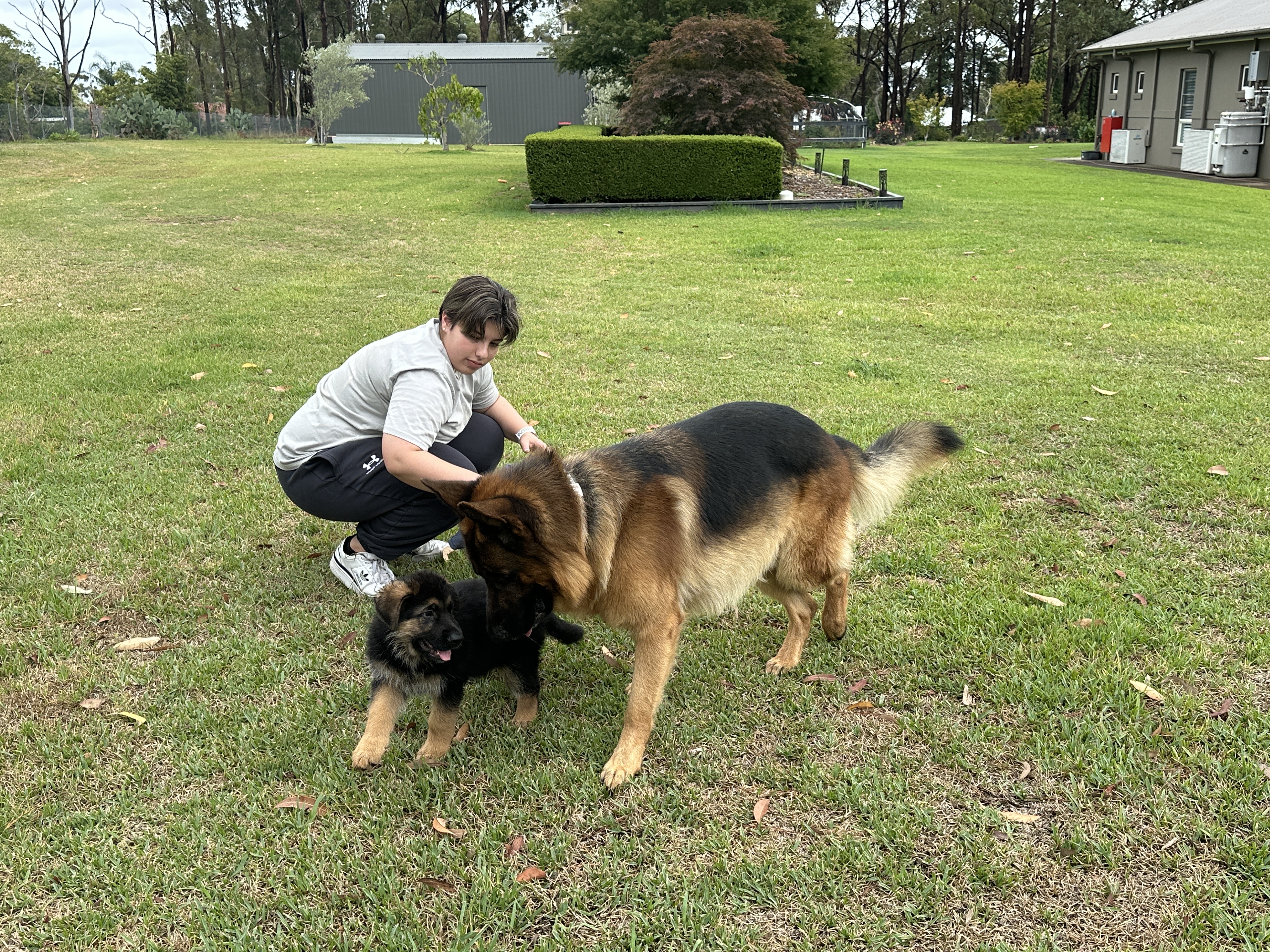 image-7