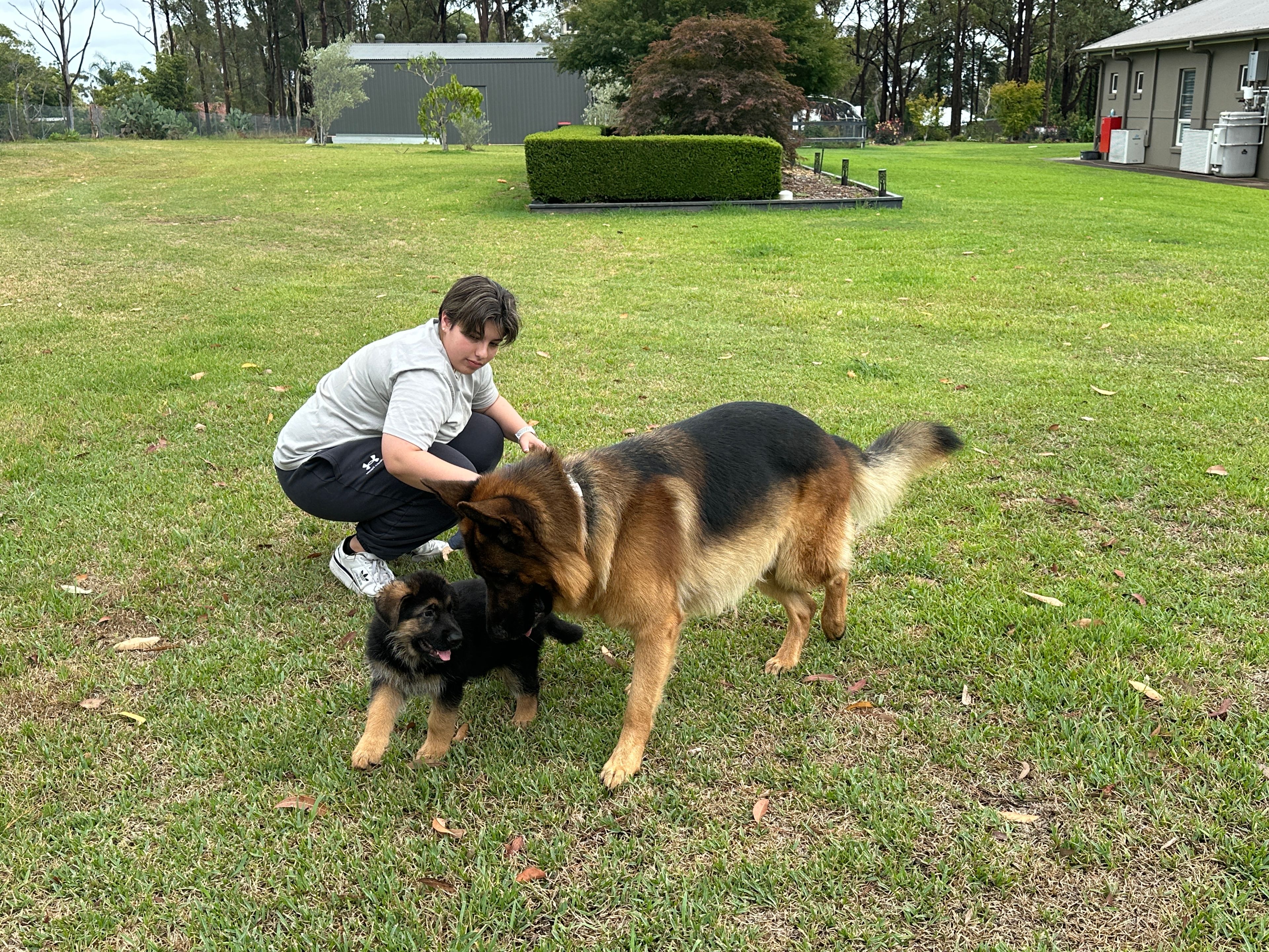 image-7