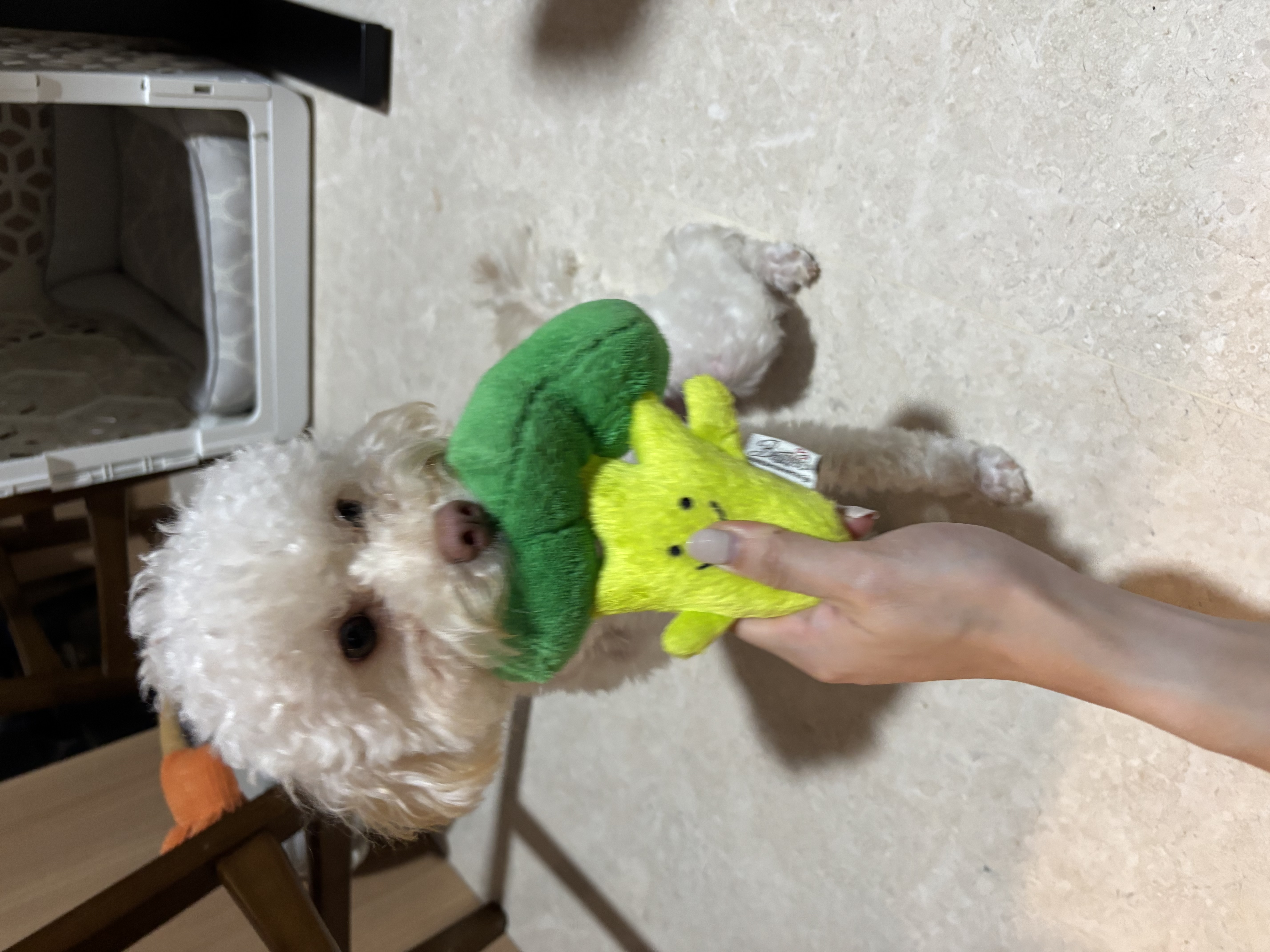 image-6