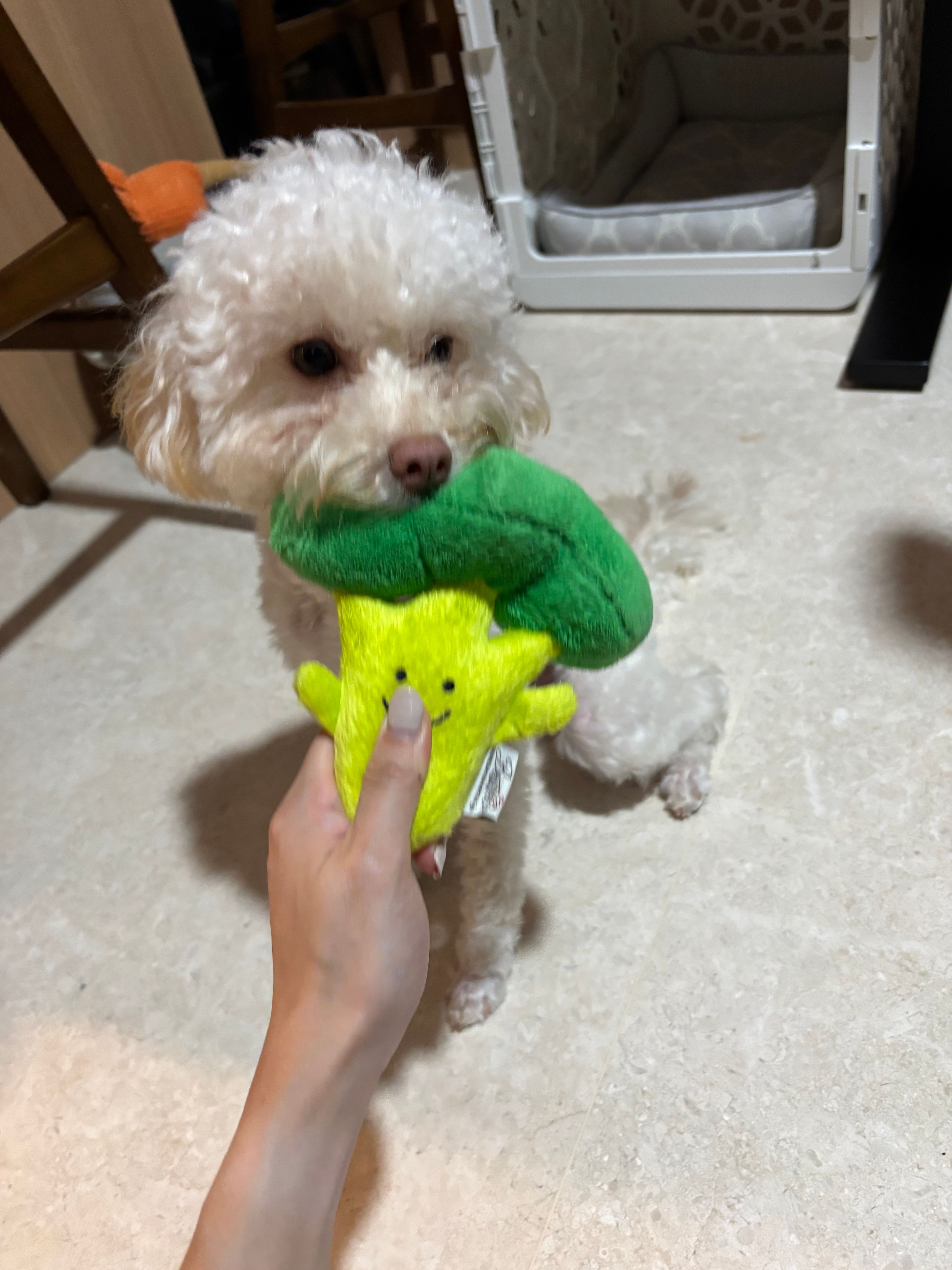 image-6