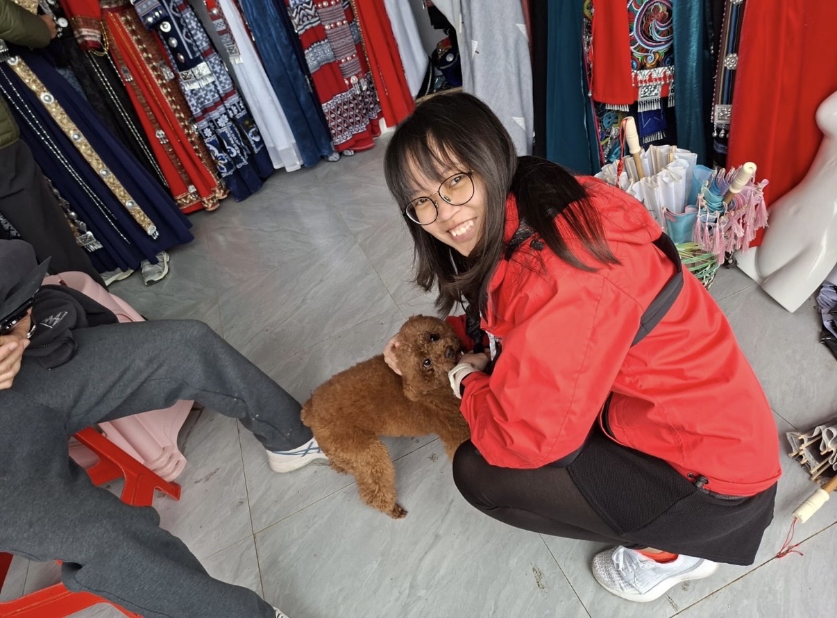 image-3