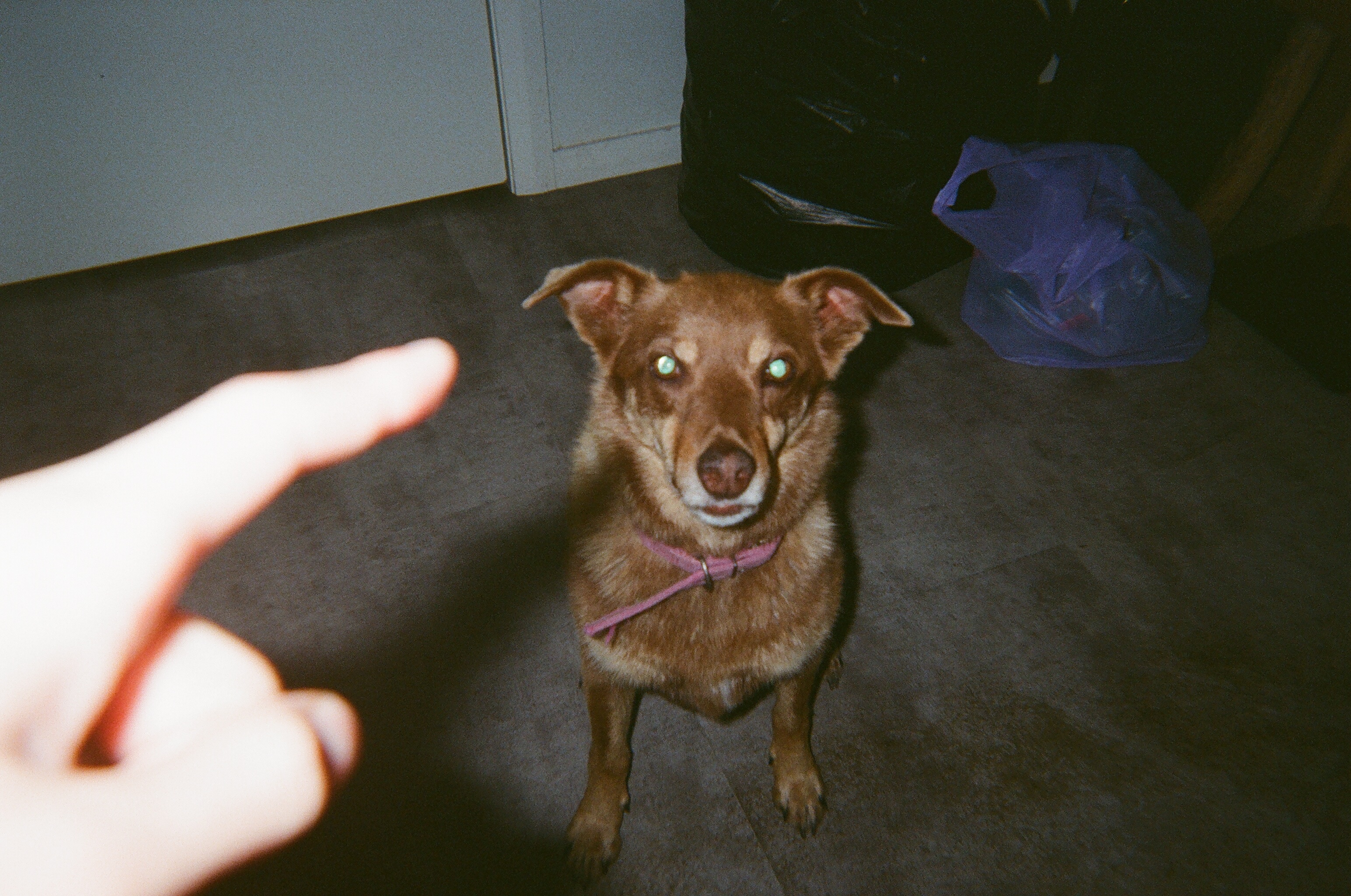 image-3