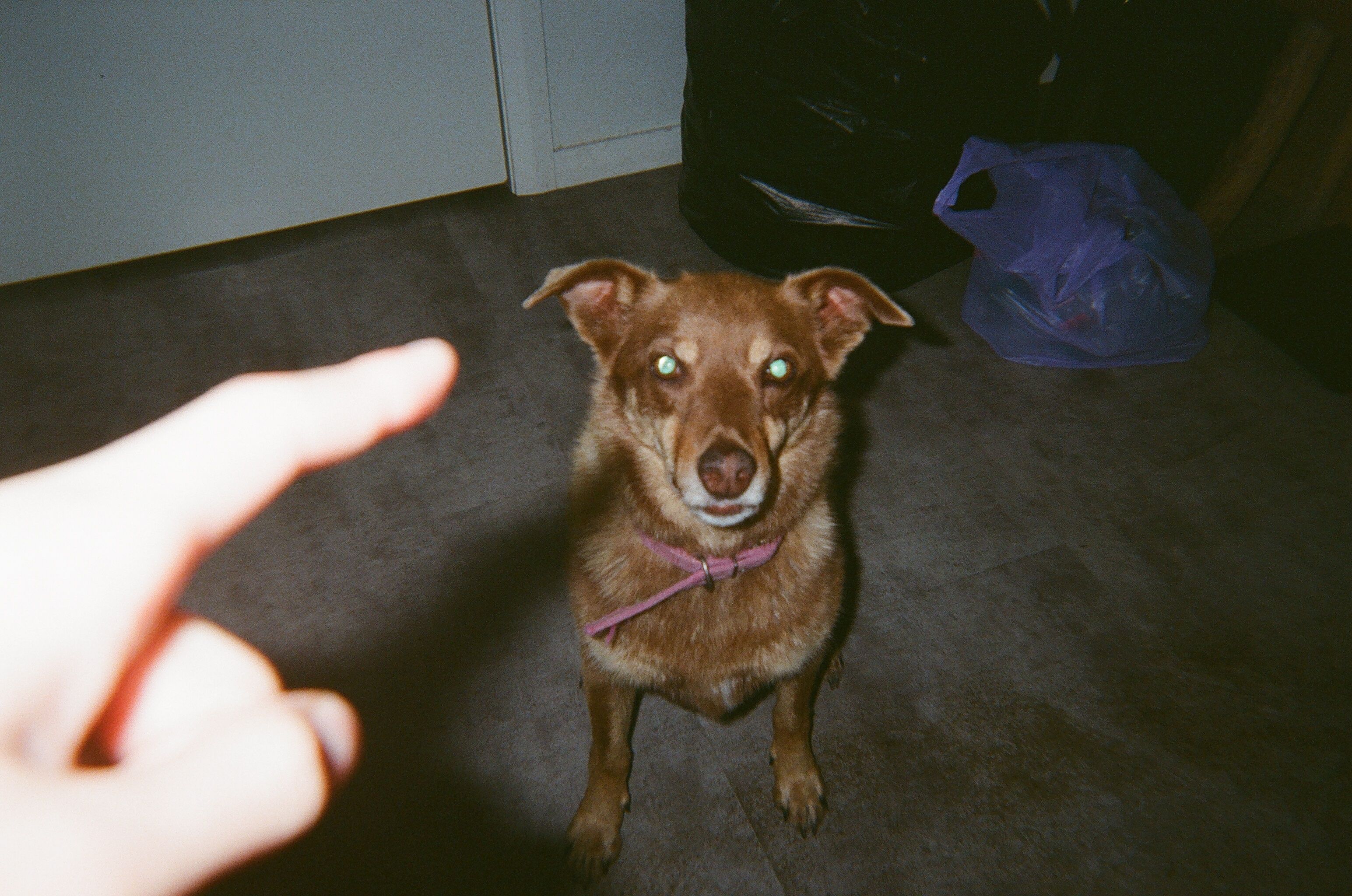 image-3