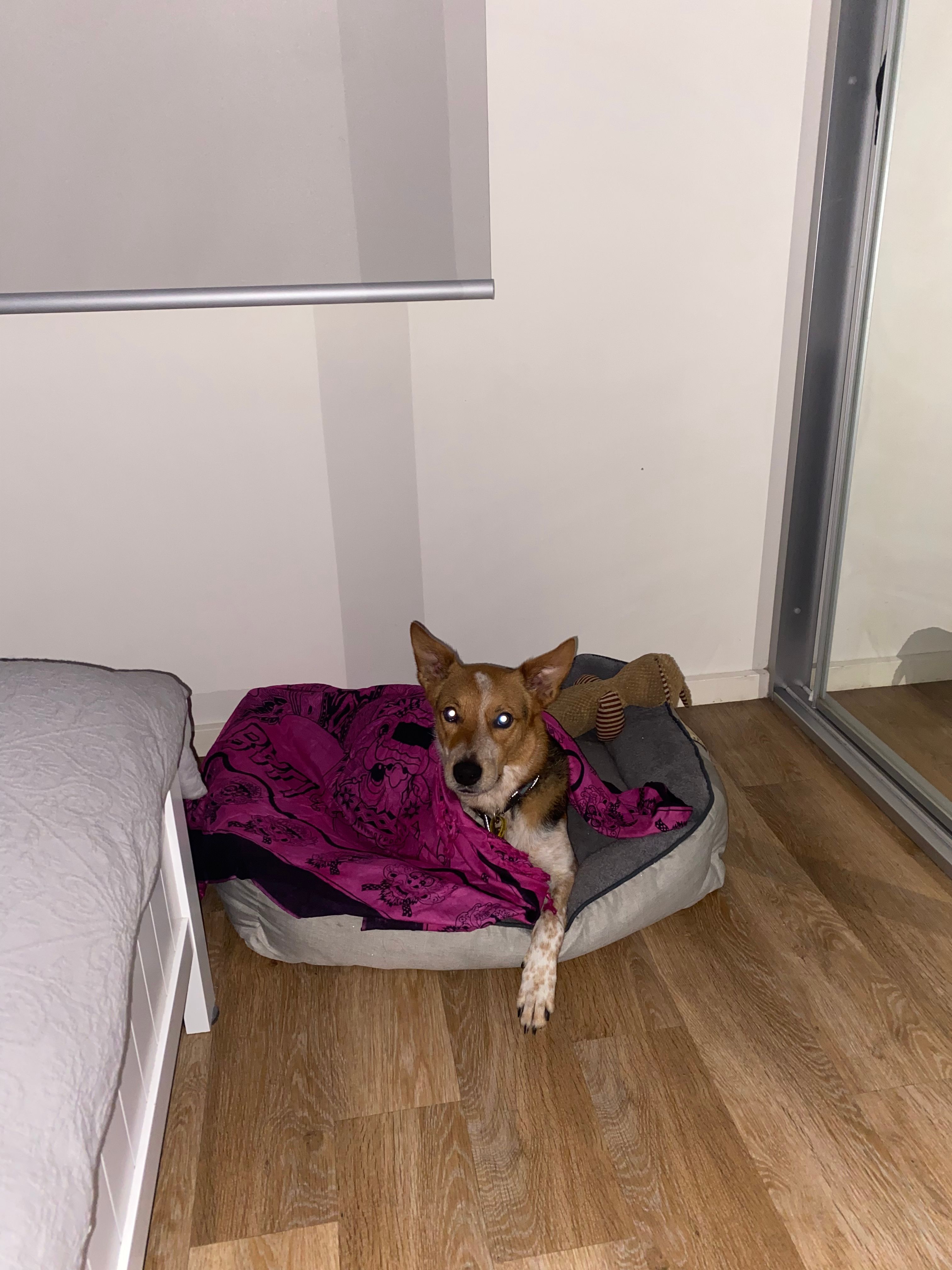 image-10