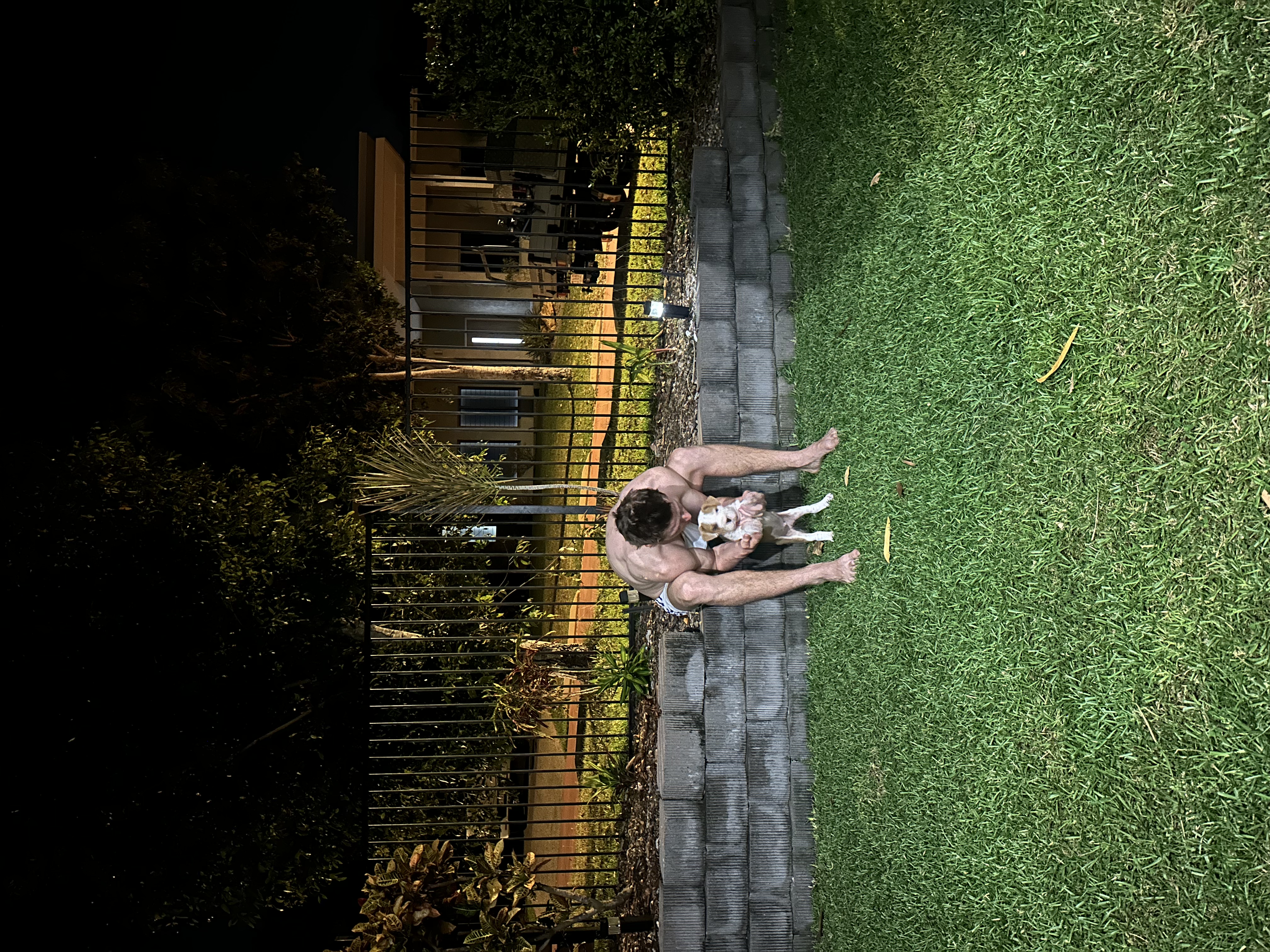 image-12