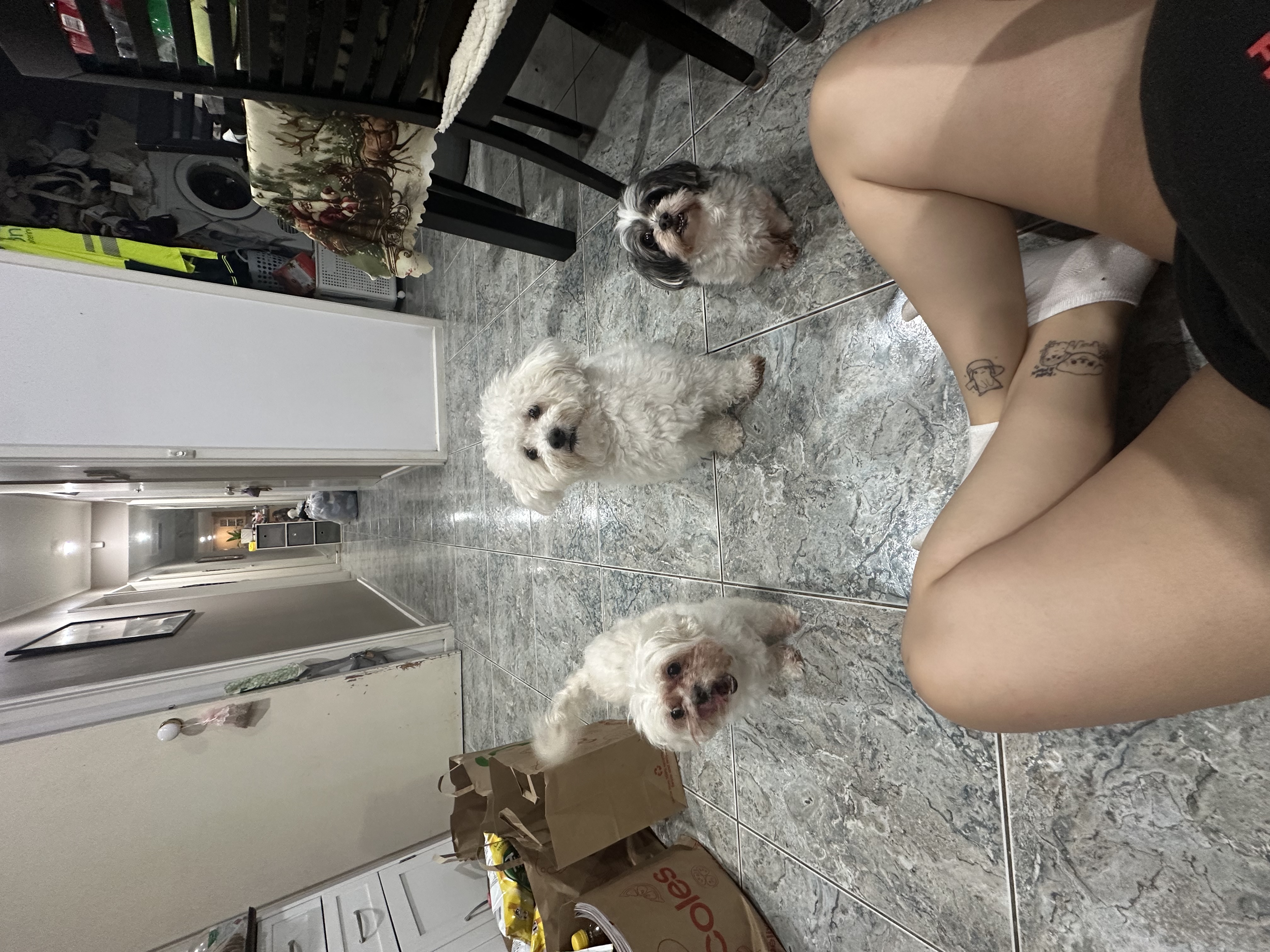 image-7