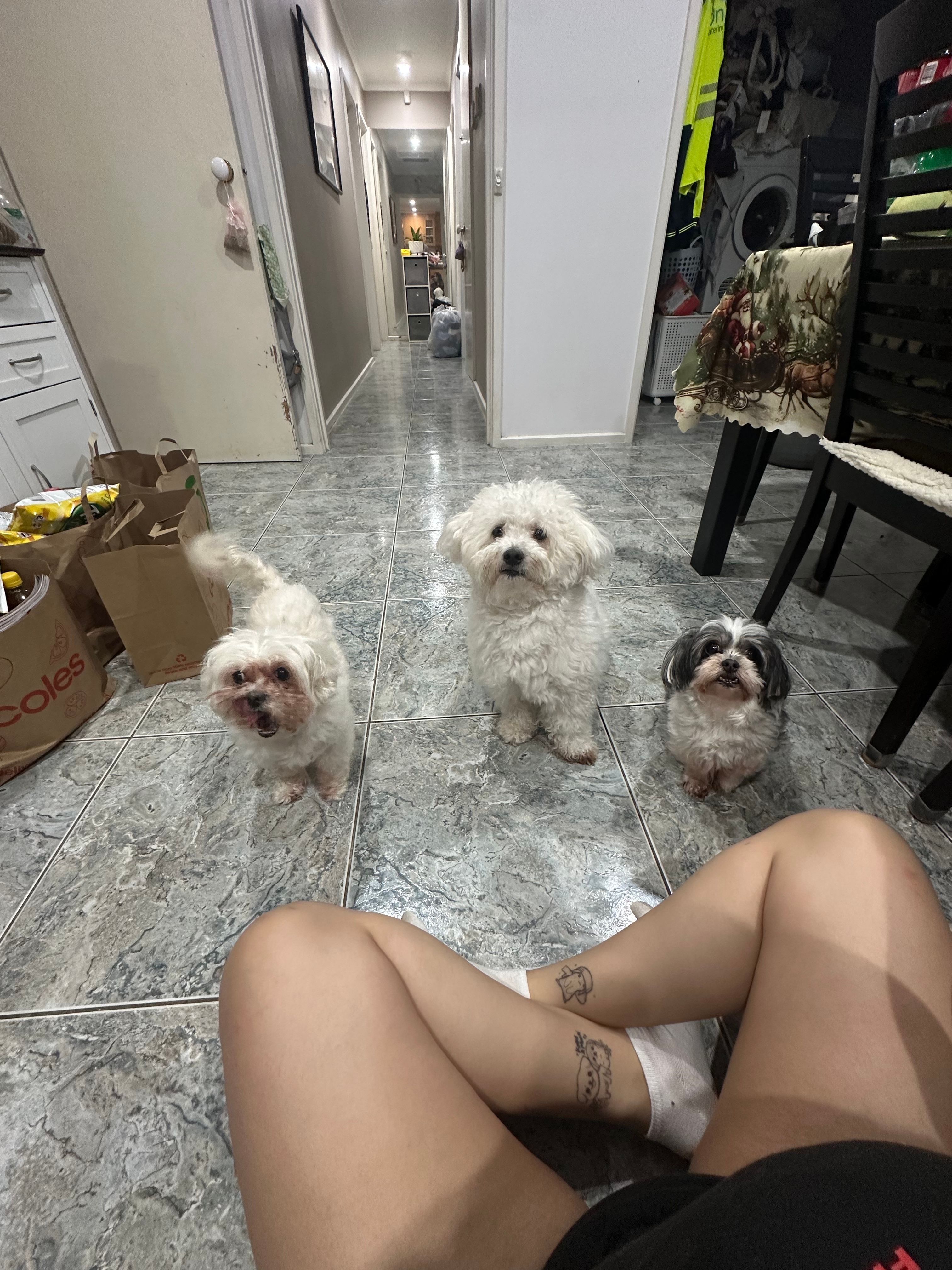 image-7