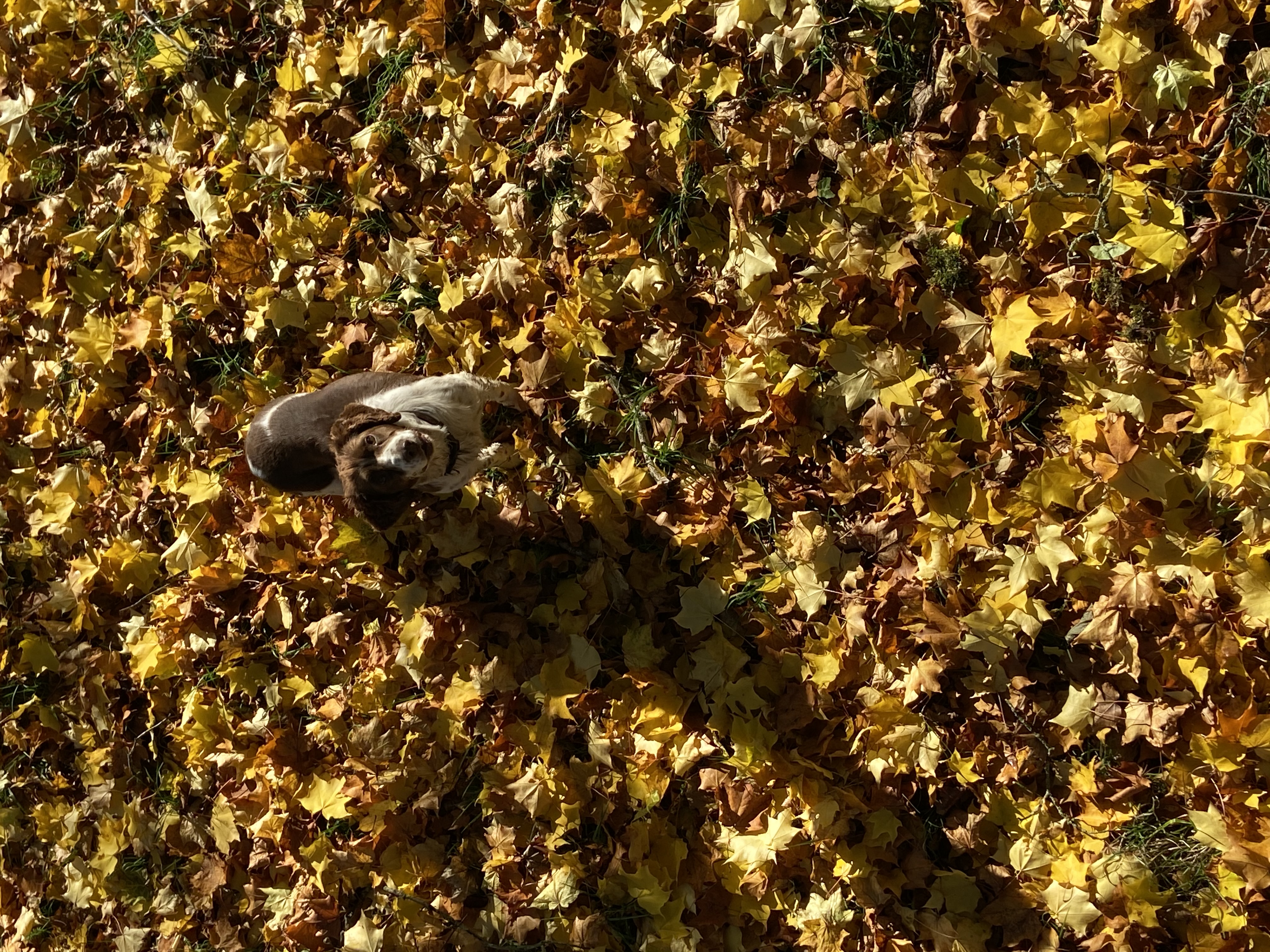image-9