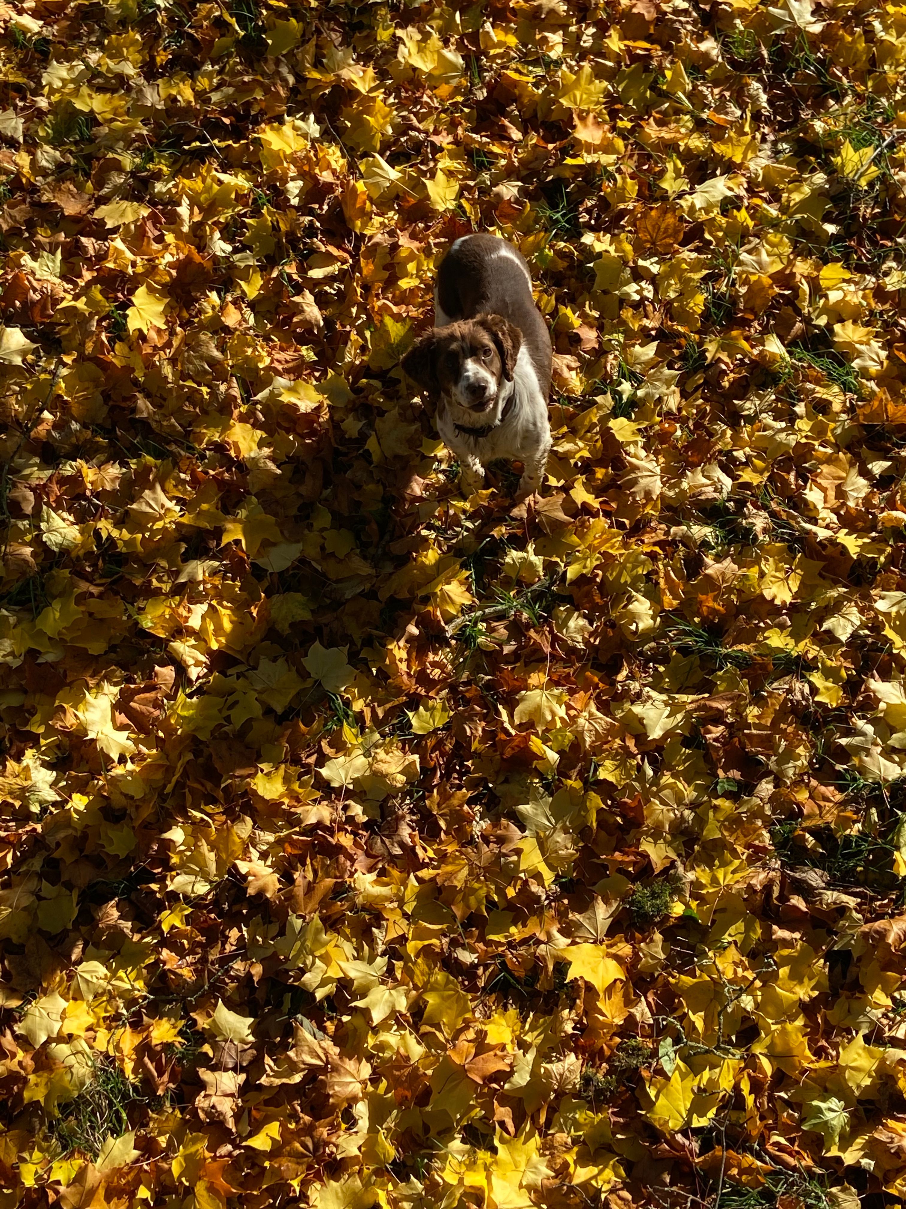 image-9