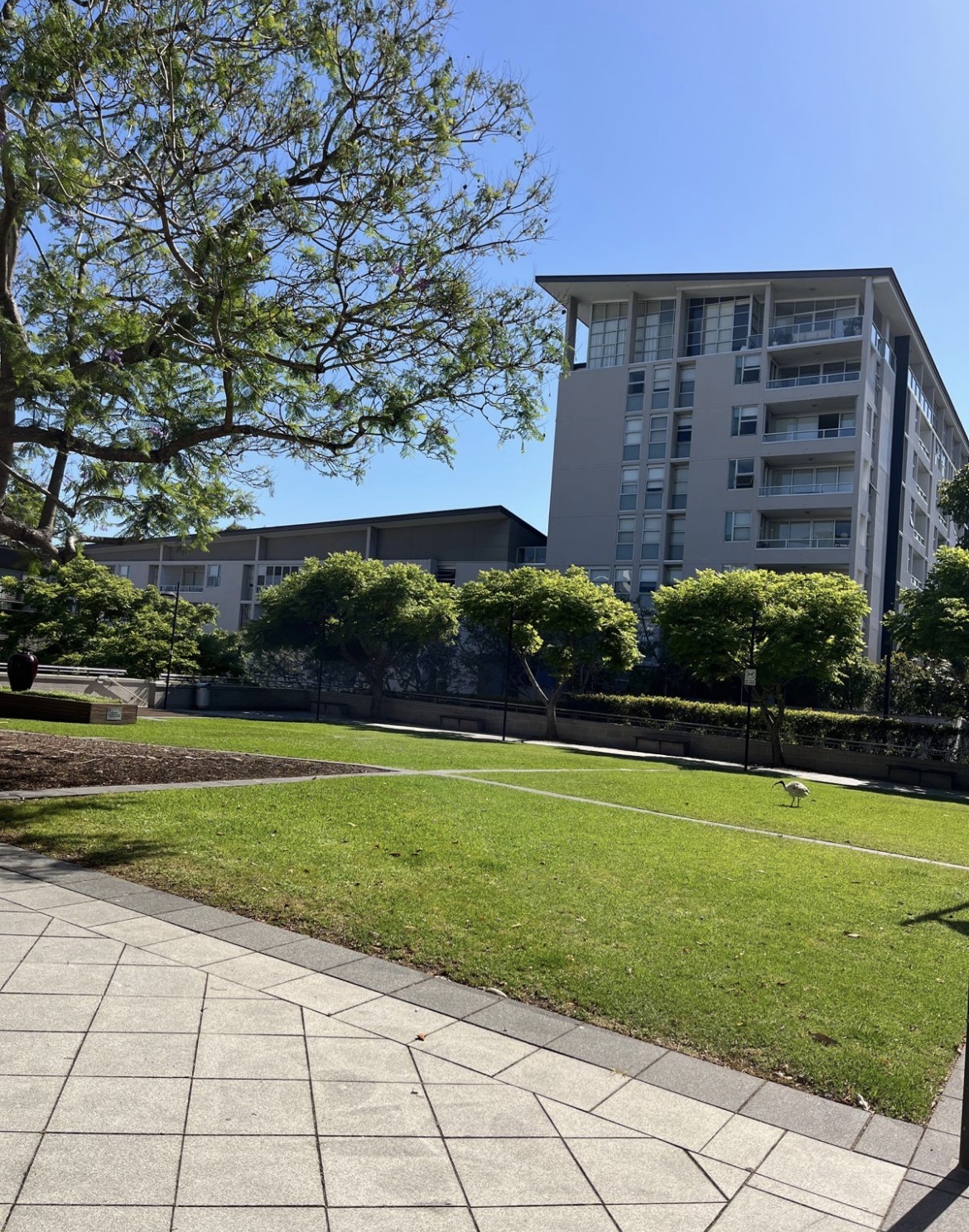 image-20