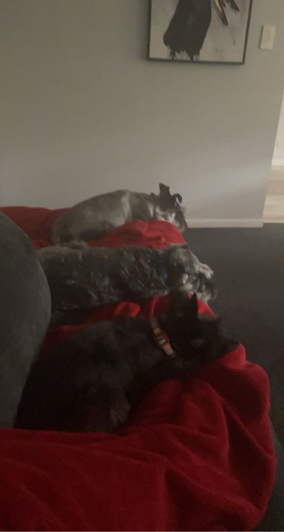 image-12