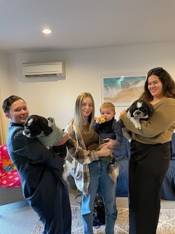 image-4