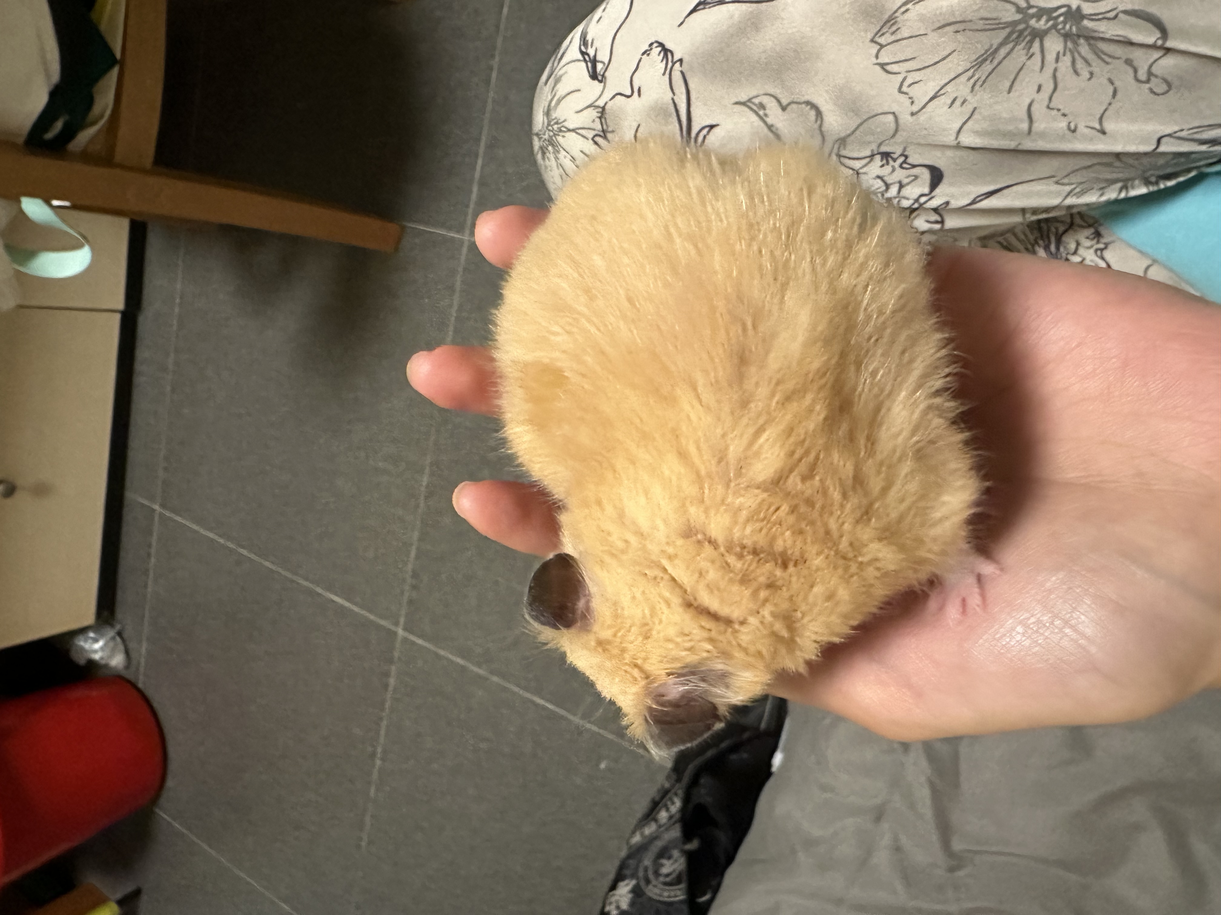 image-3