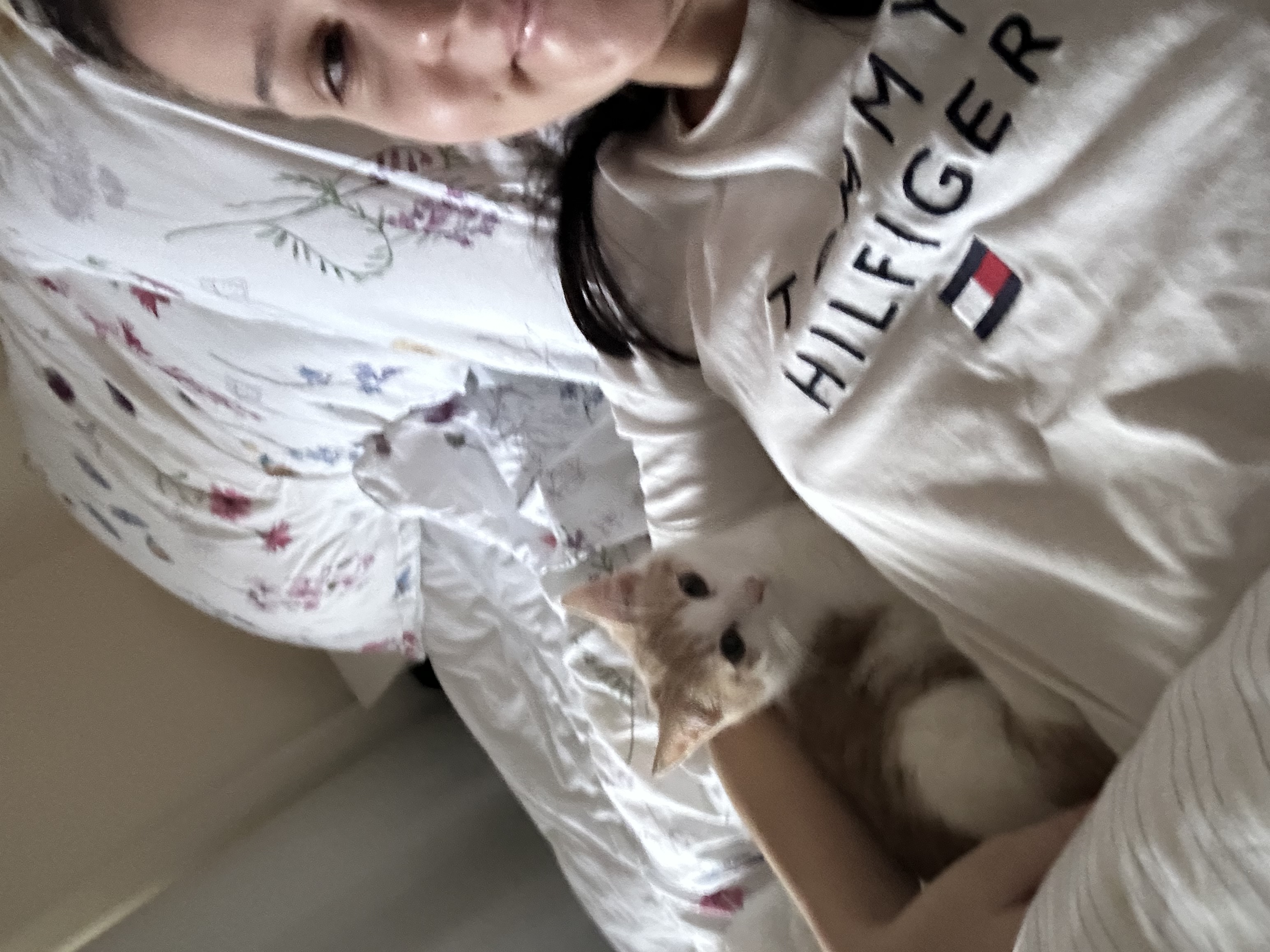 image-7