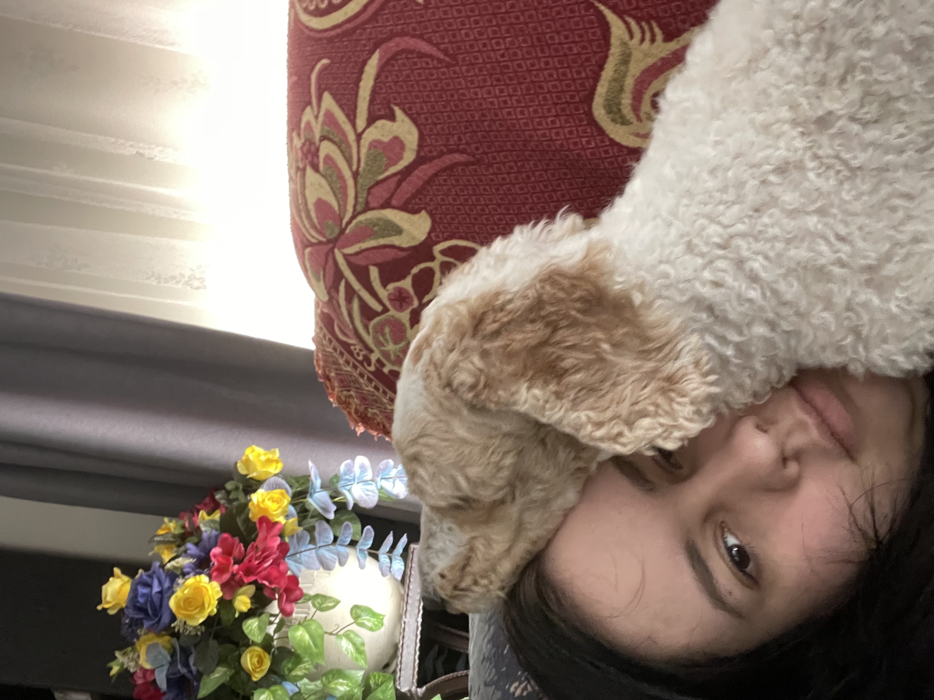 image-8
