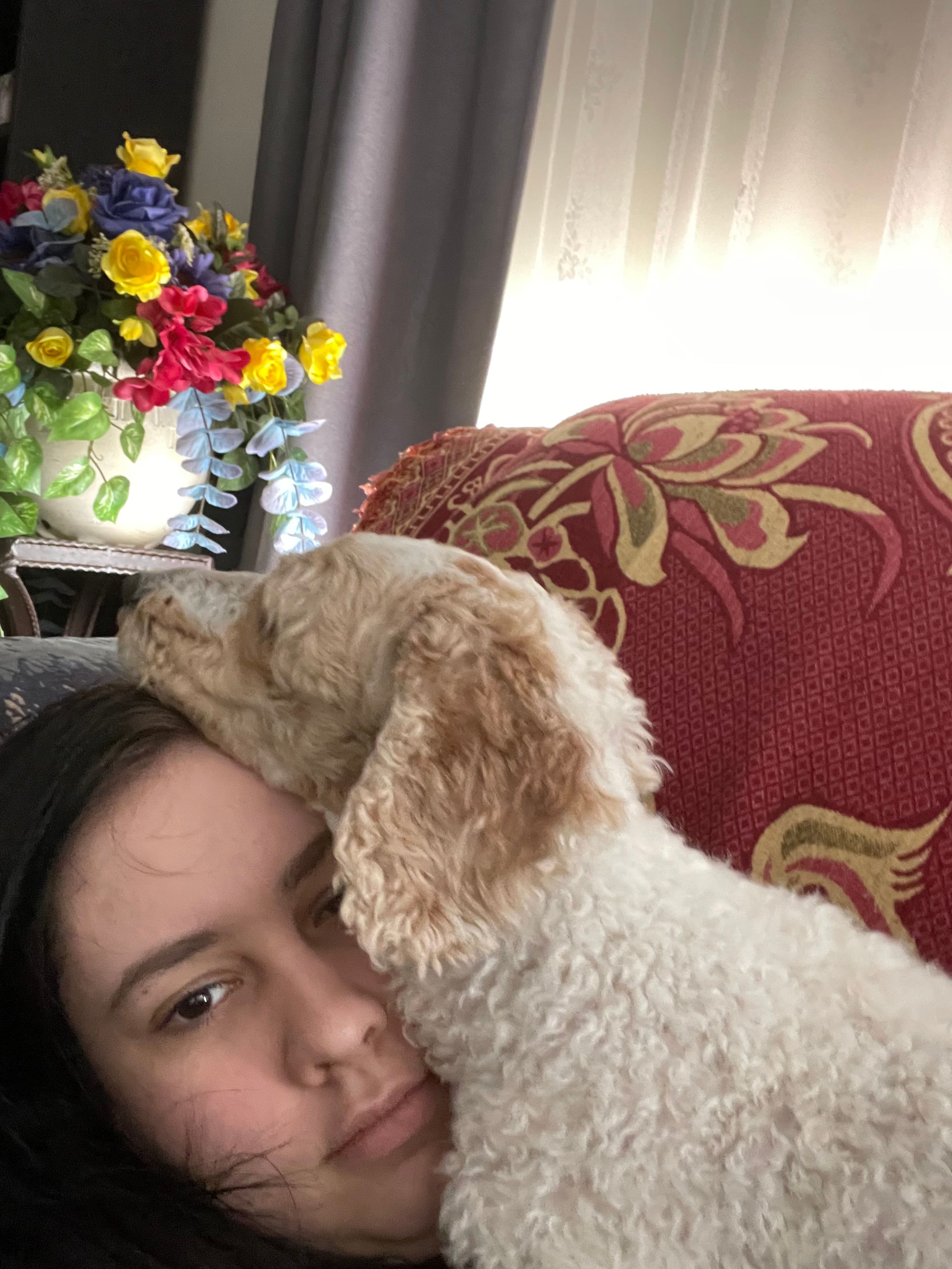 image-8