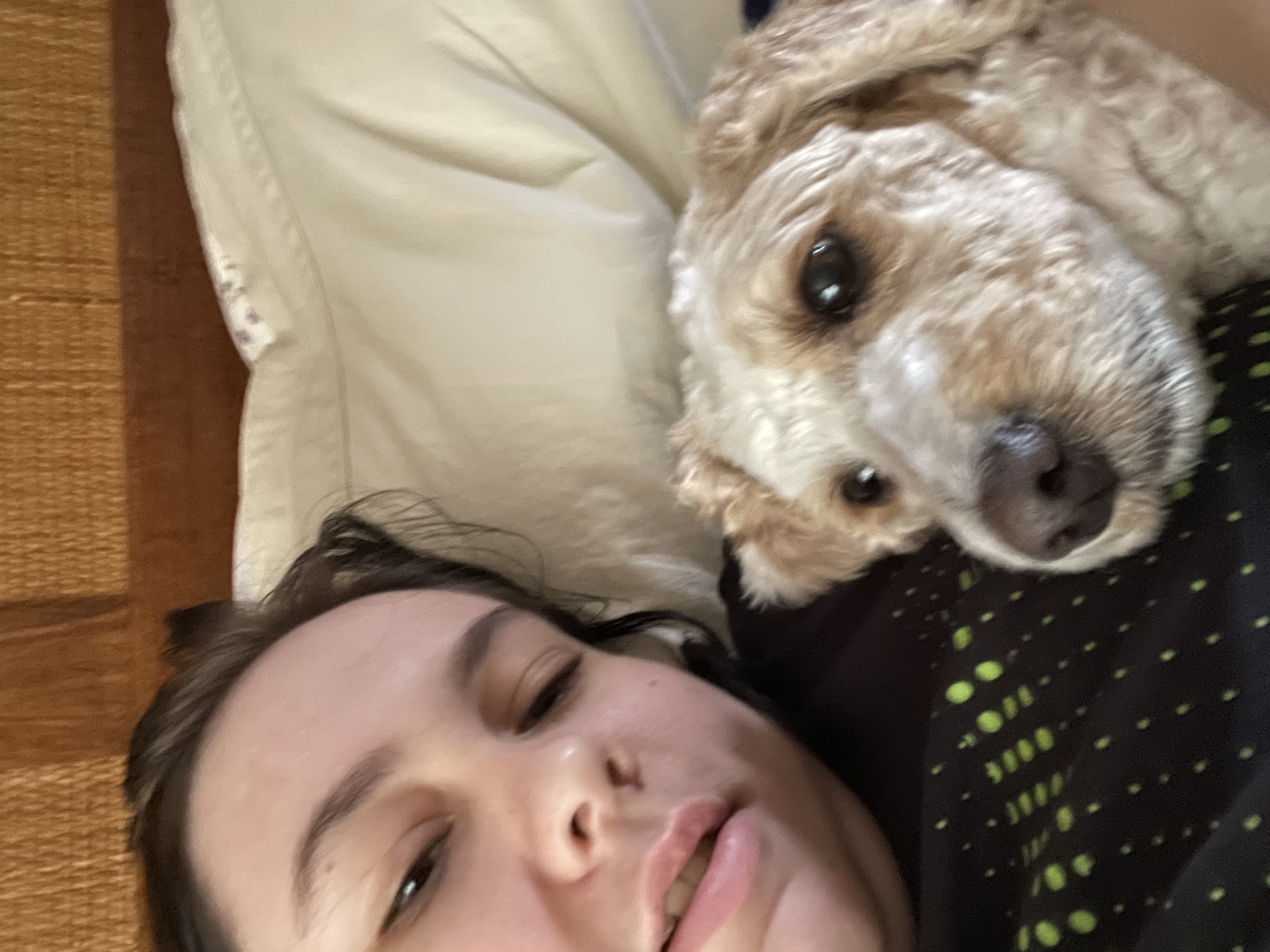 image-9