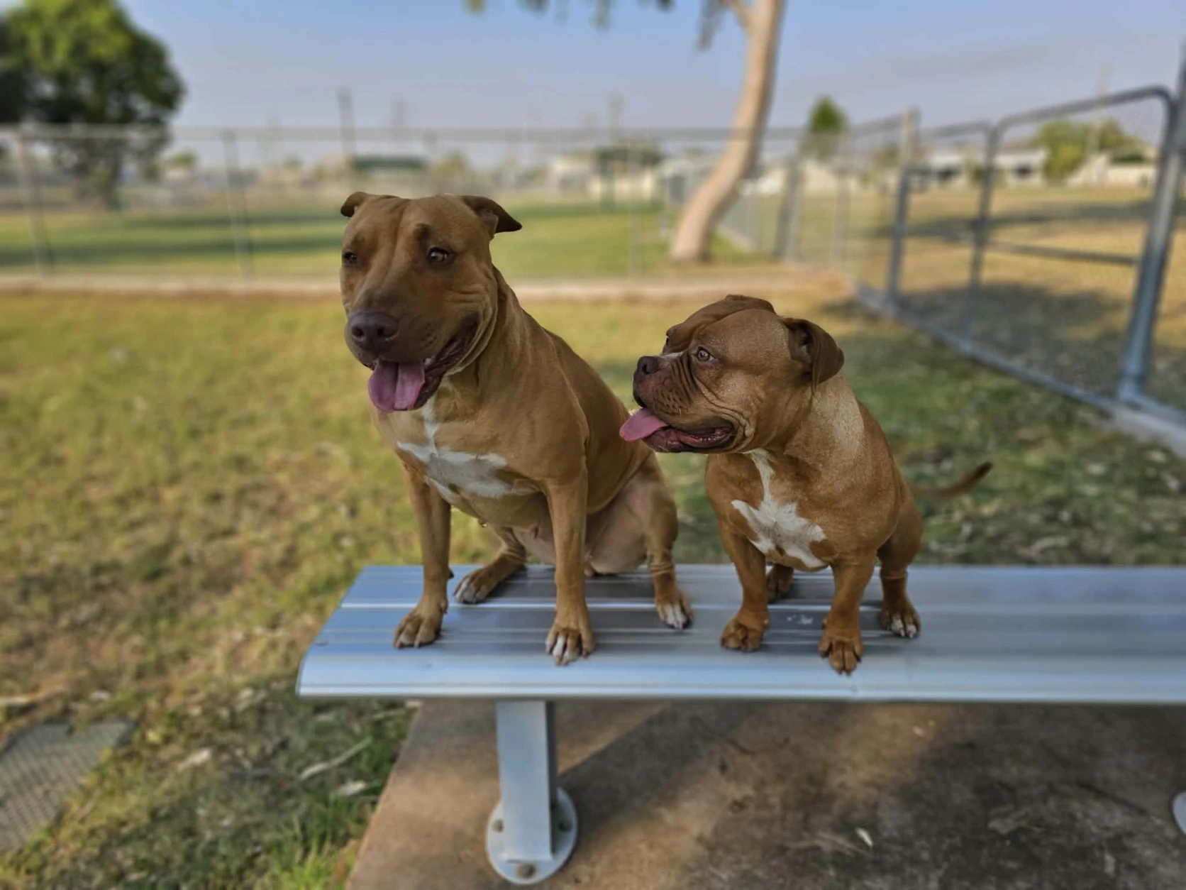 image-11