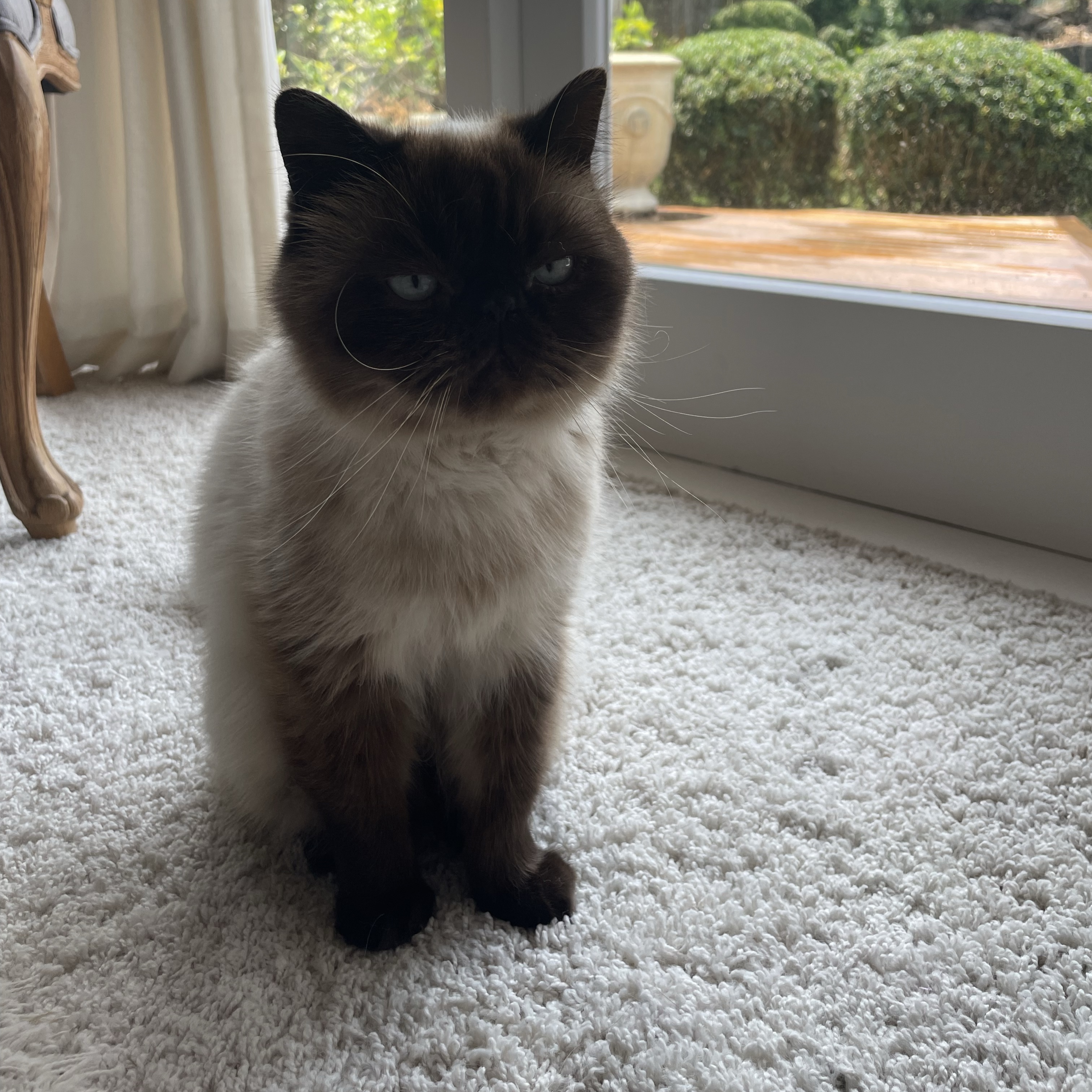 Milo