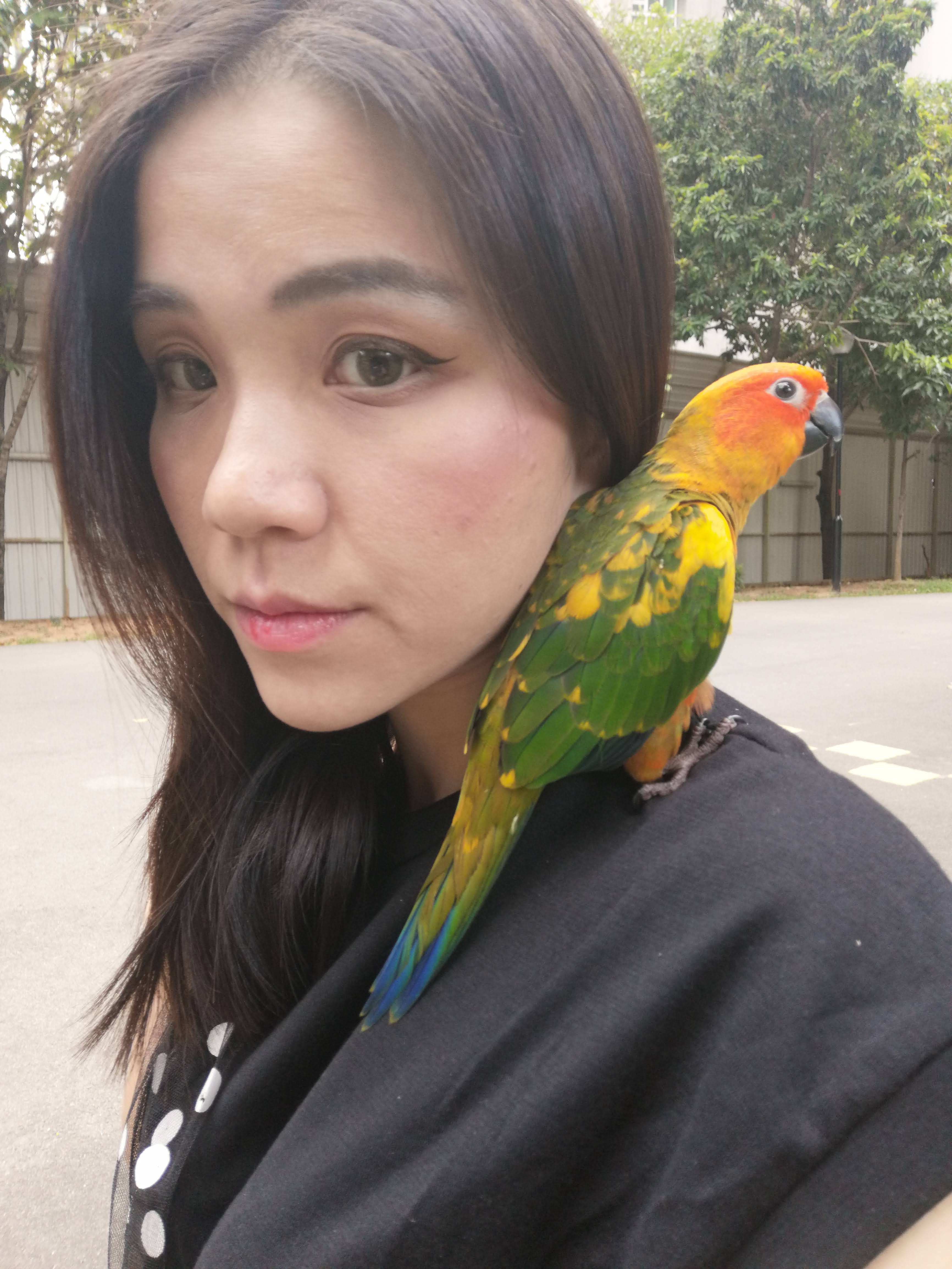image-2