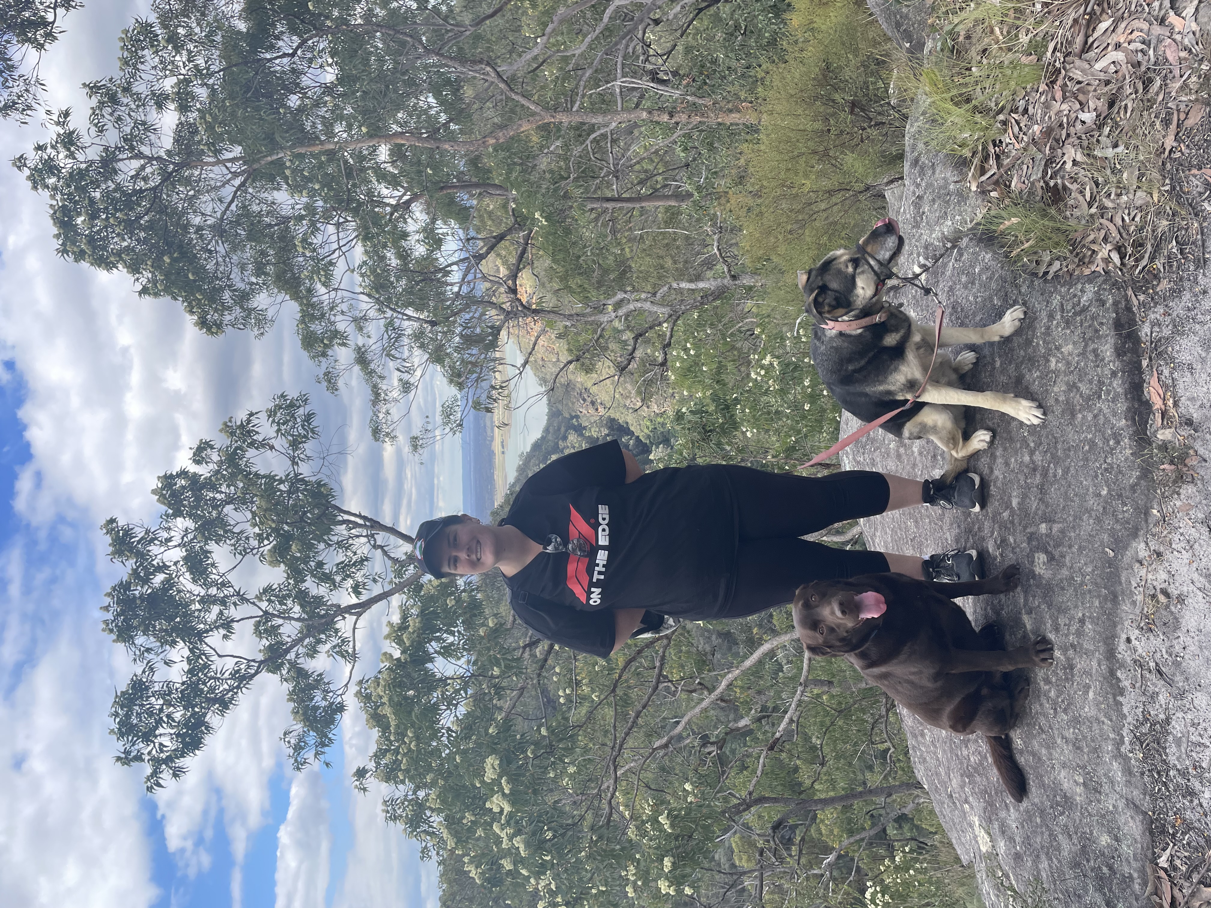 image-4