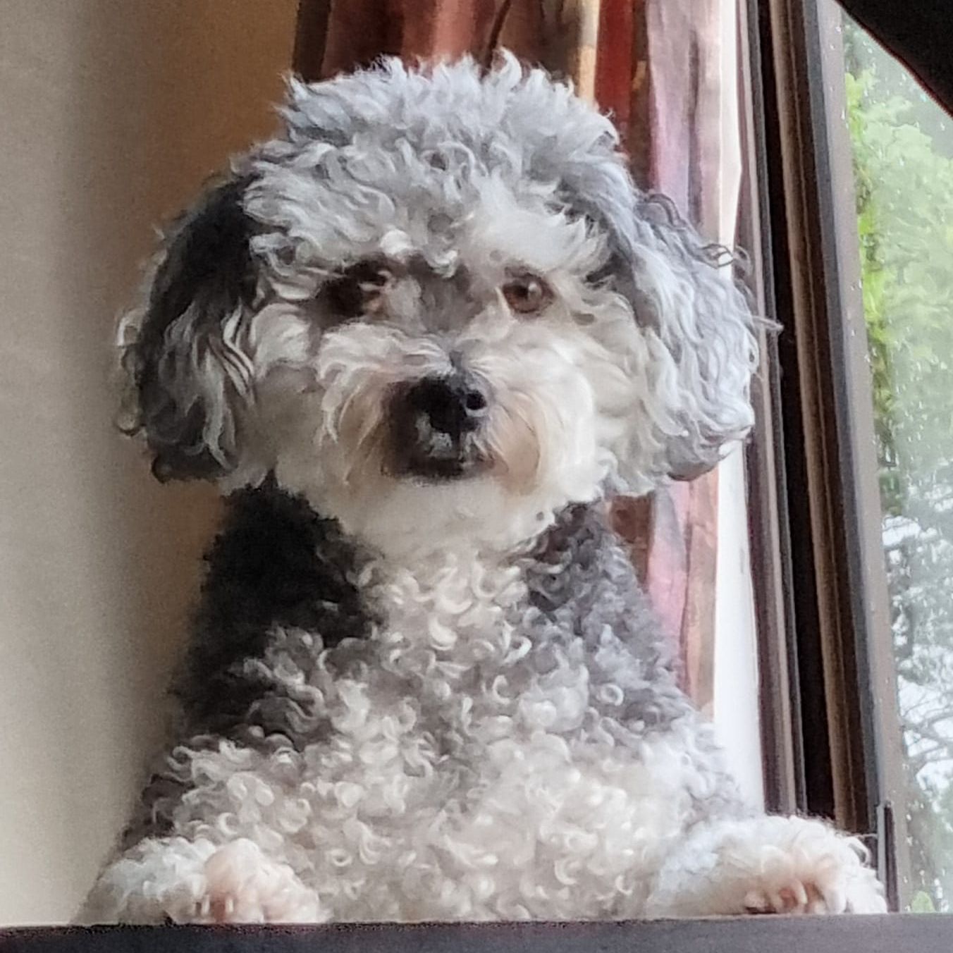 Jax