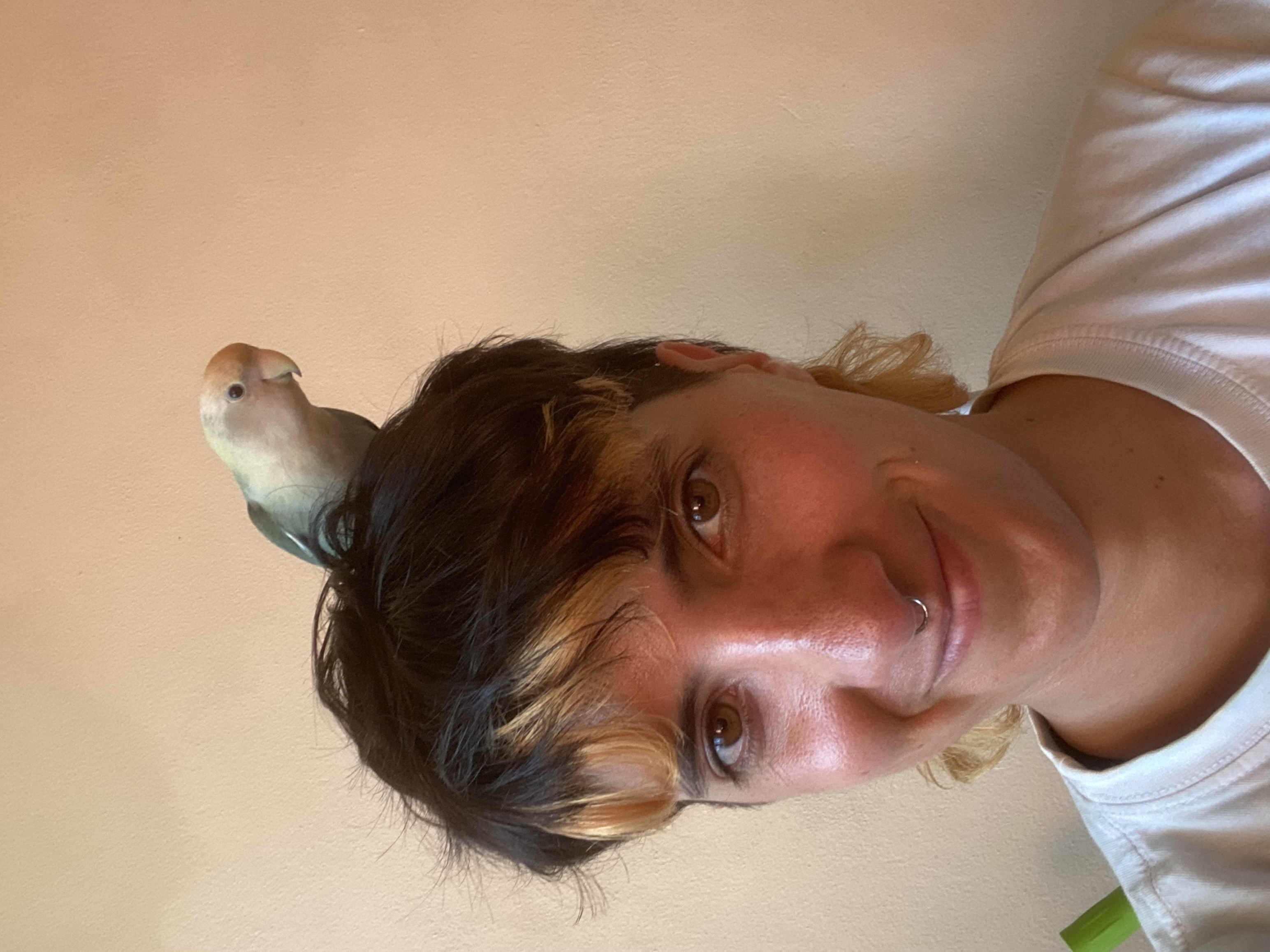 image-13