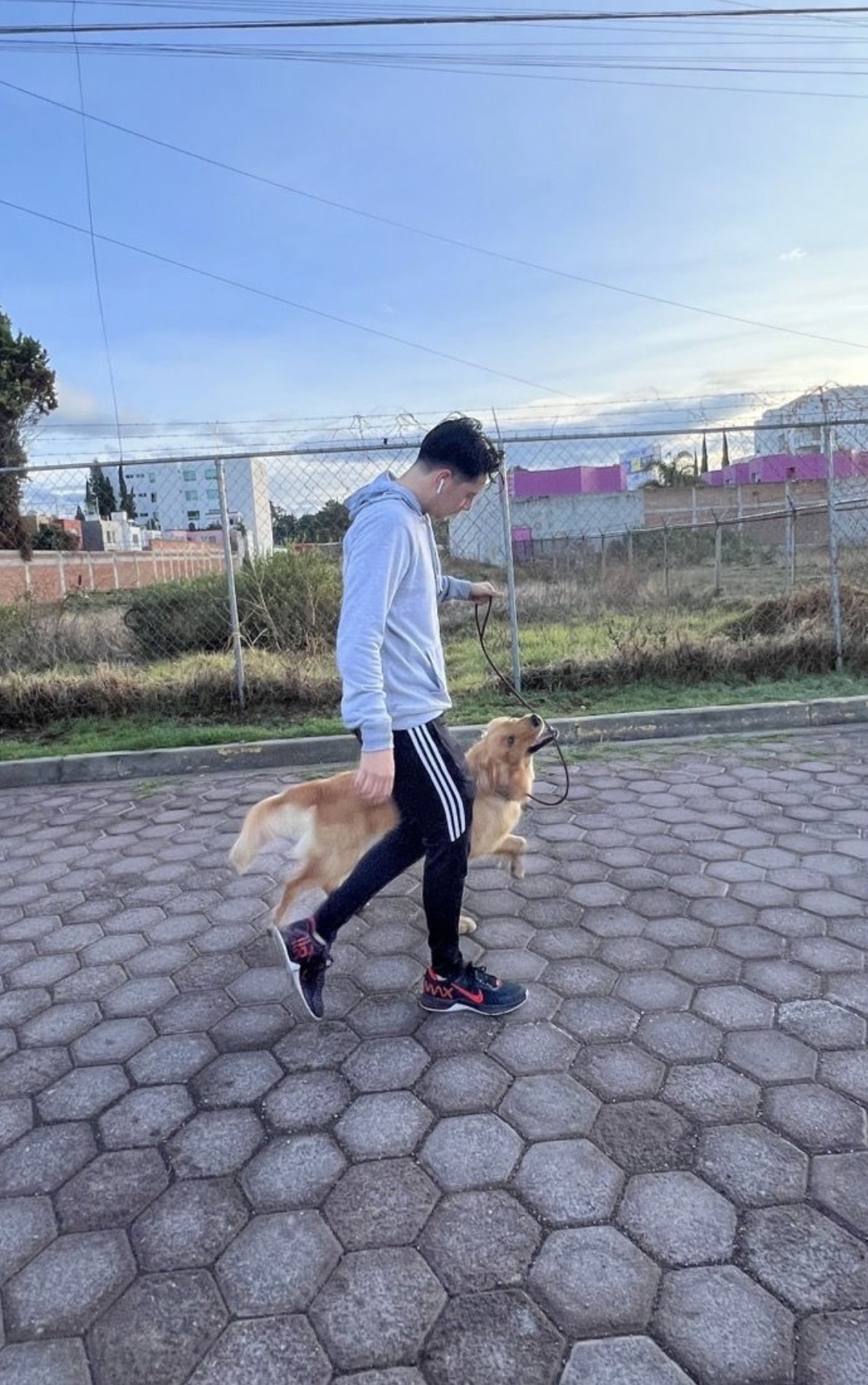image-9