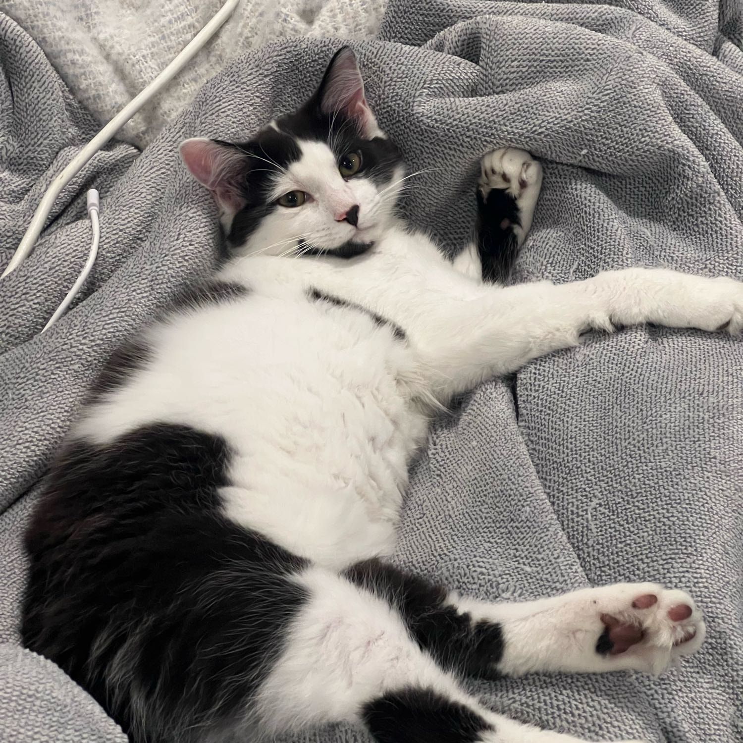 Theodore
