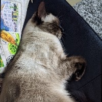 Lulu