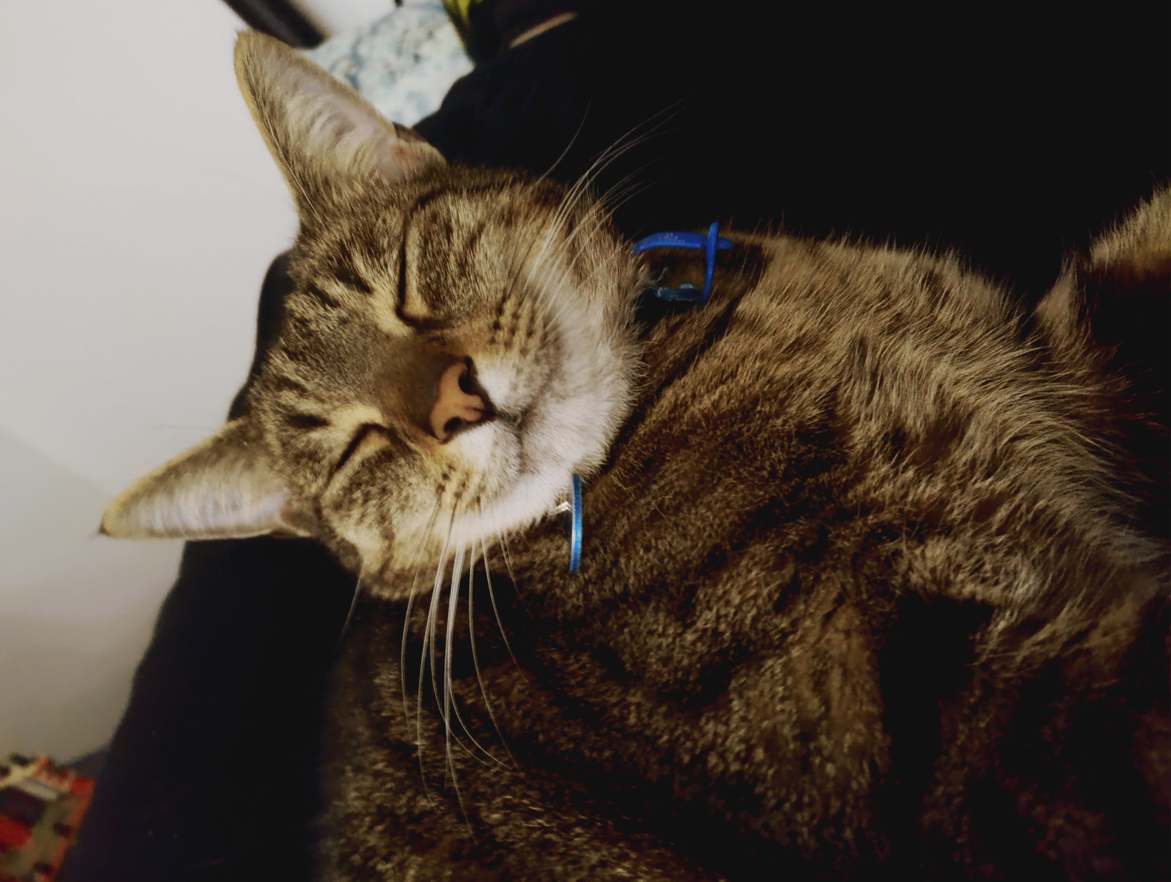 image-8