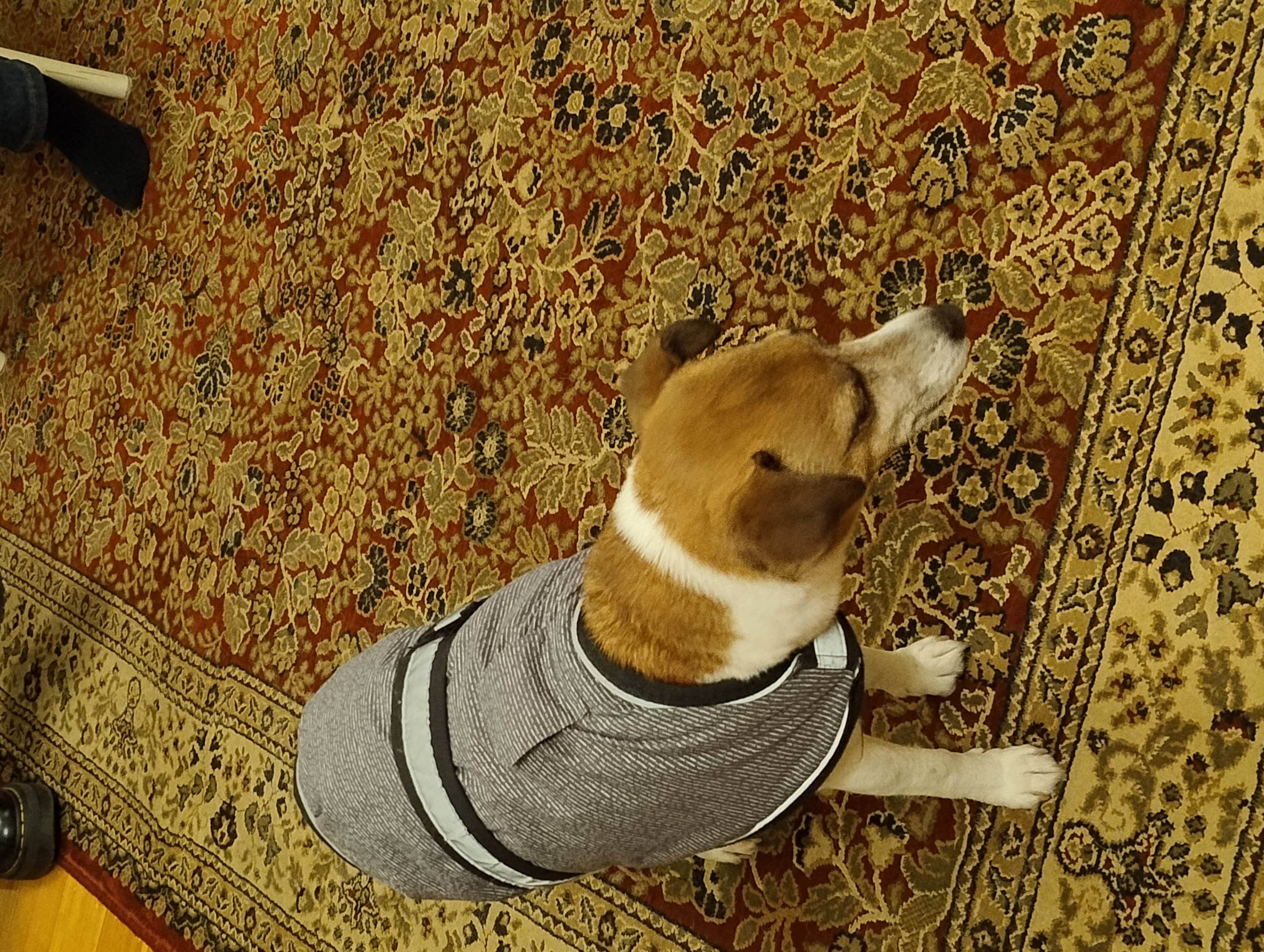 image-10