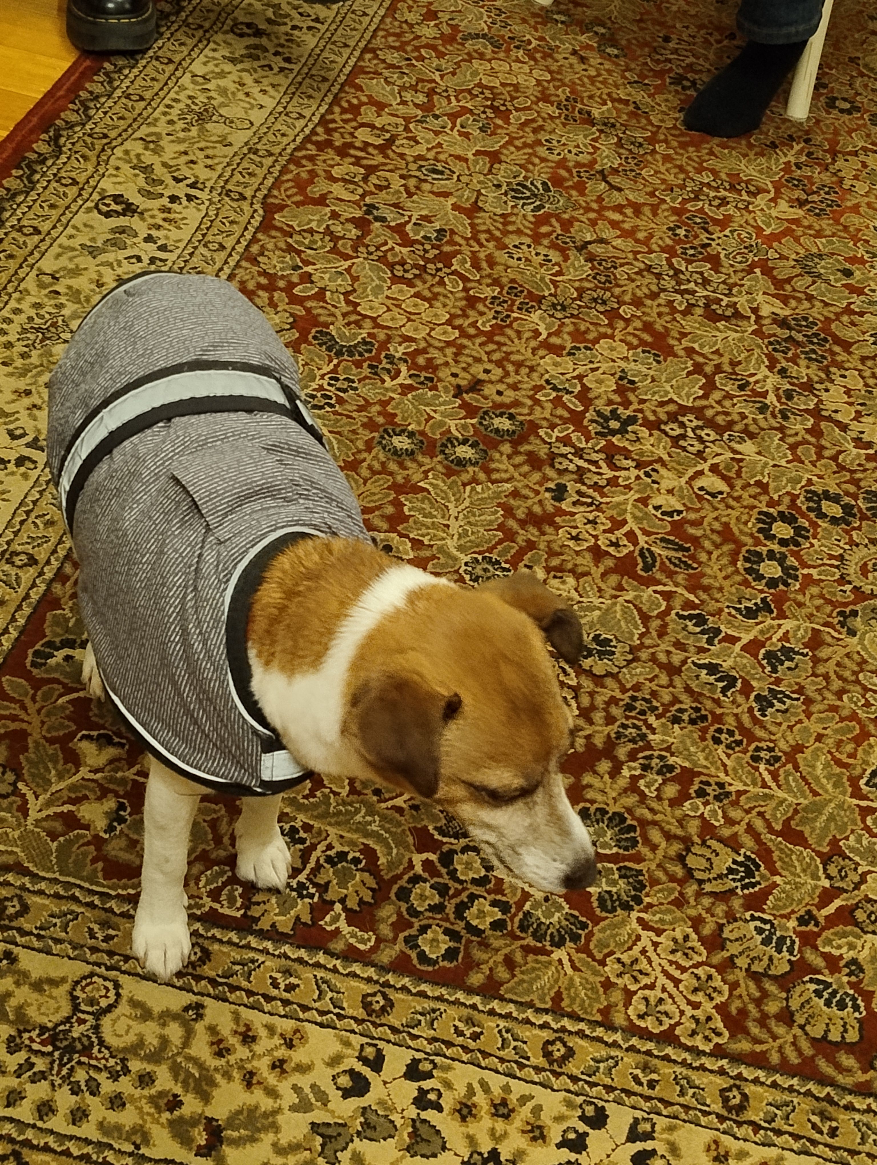 image-10