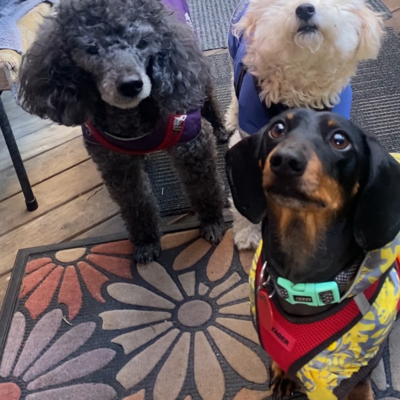 Nova and Seamus