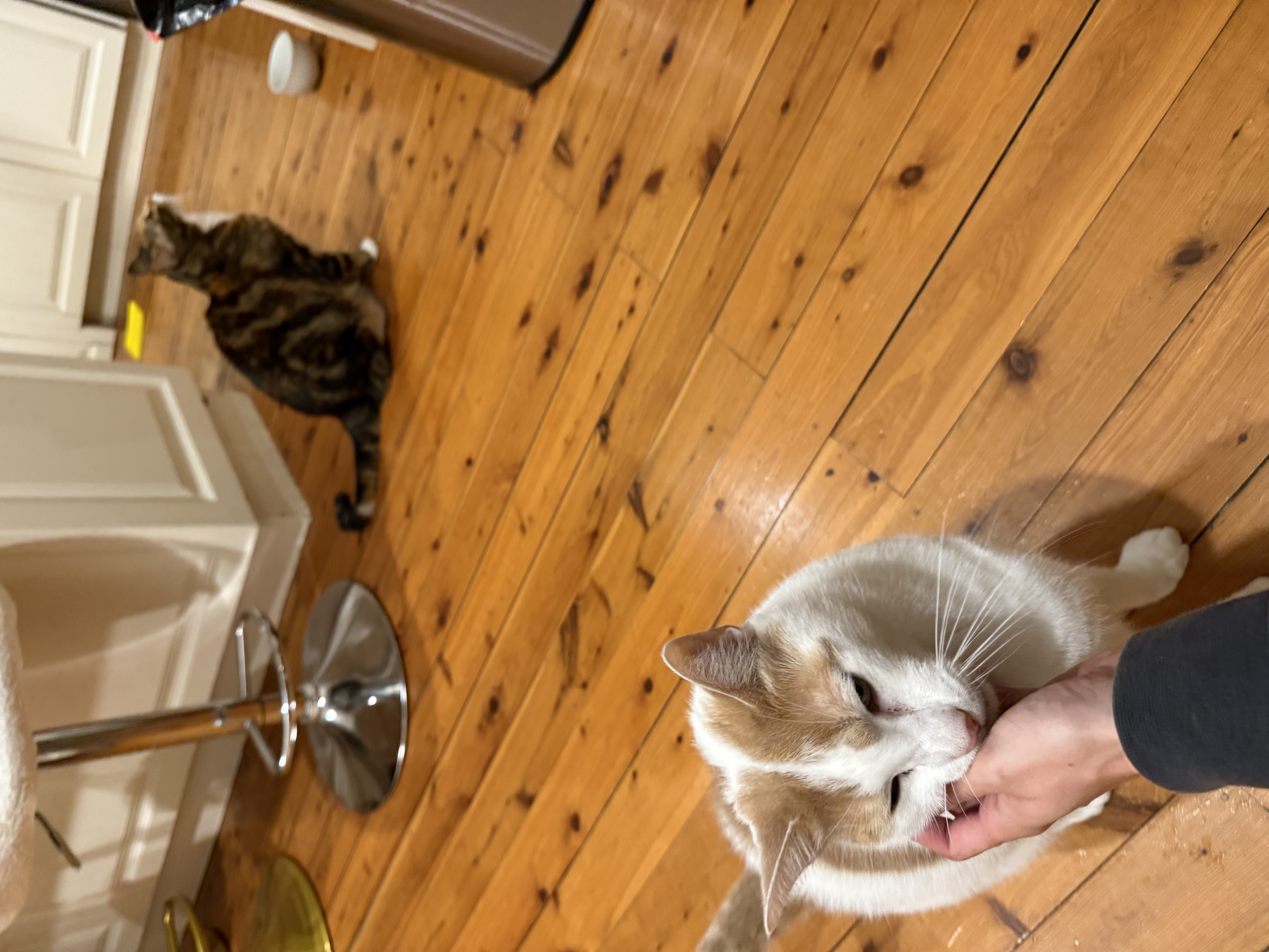 image-12