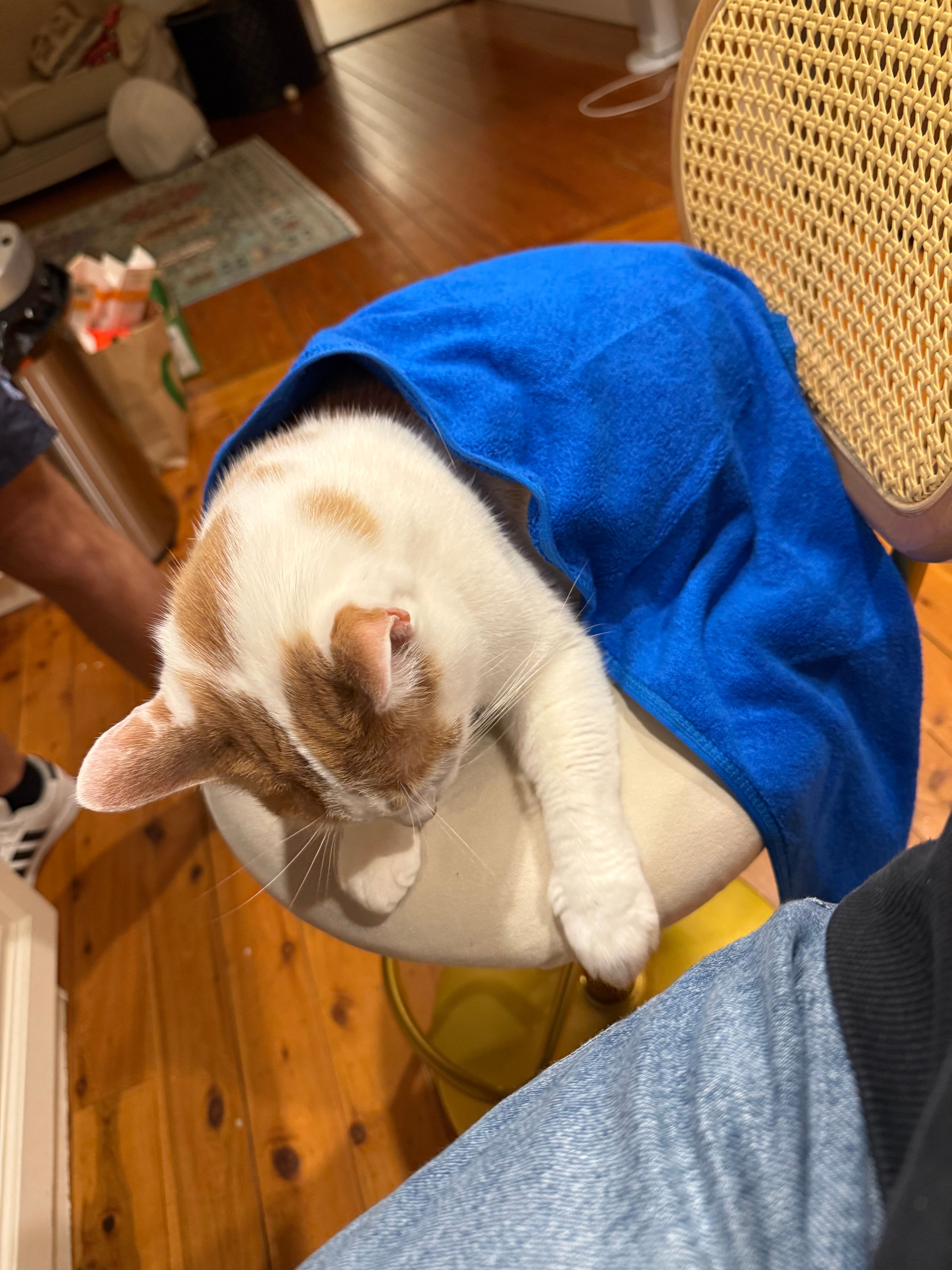image-13