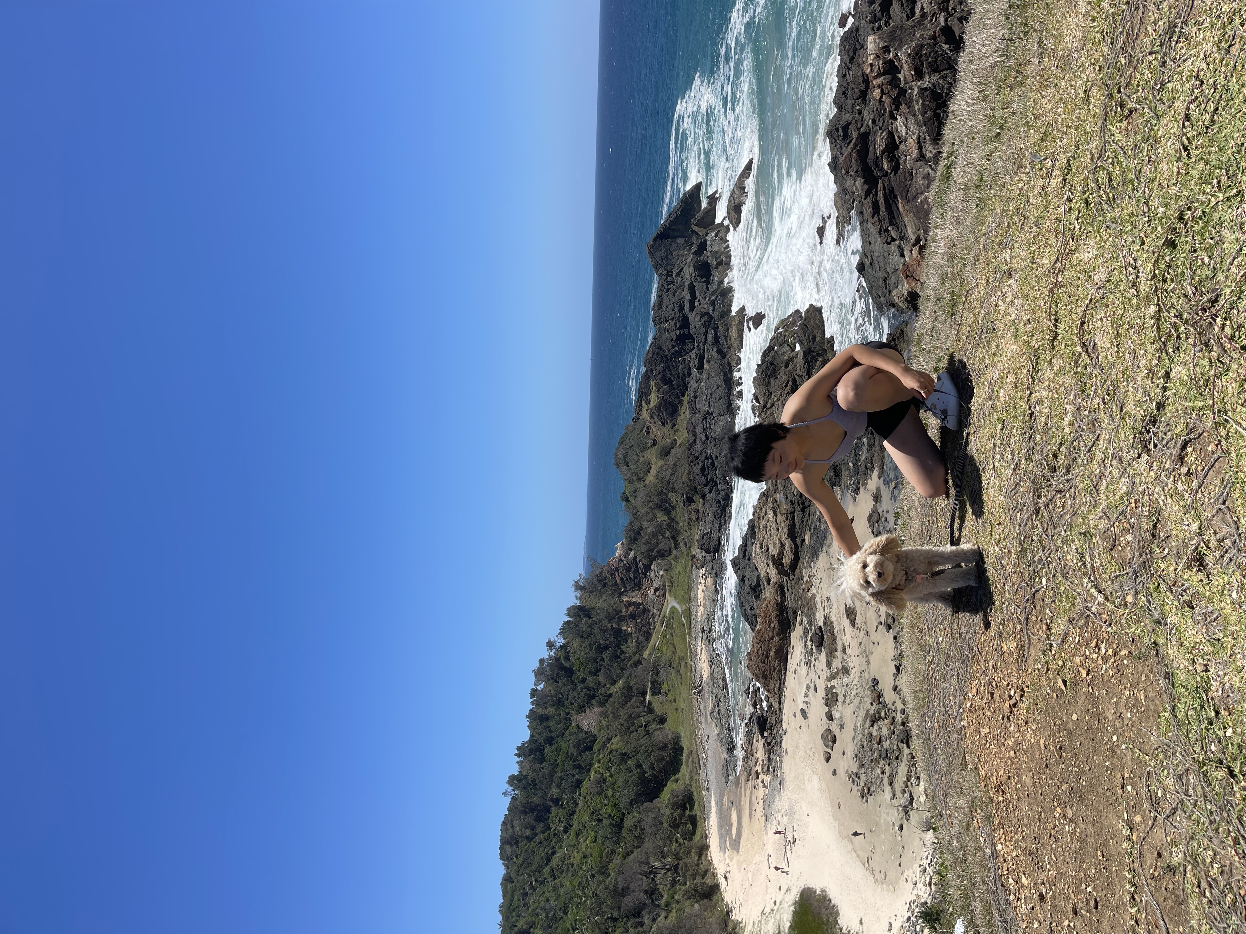 image-5