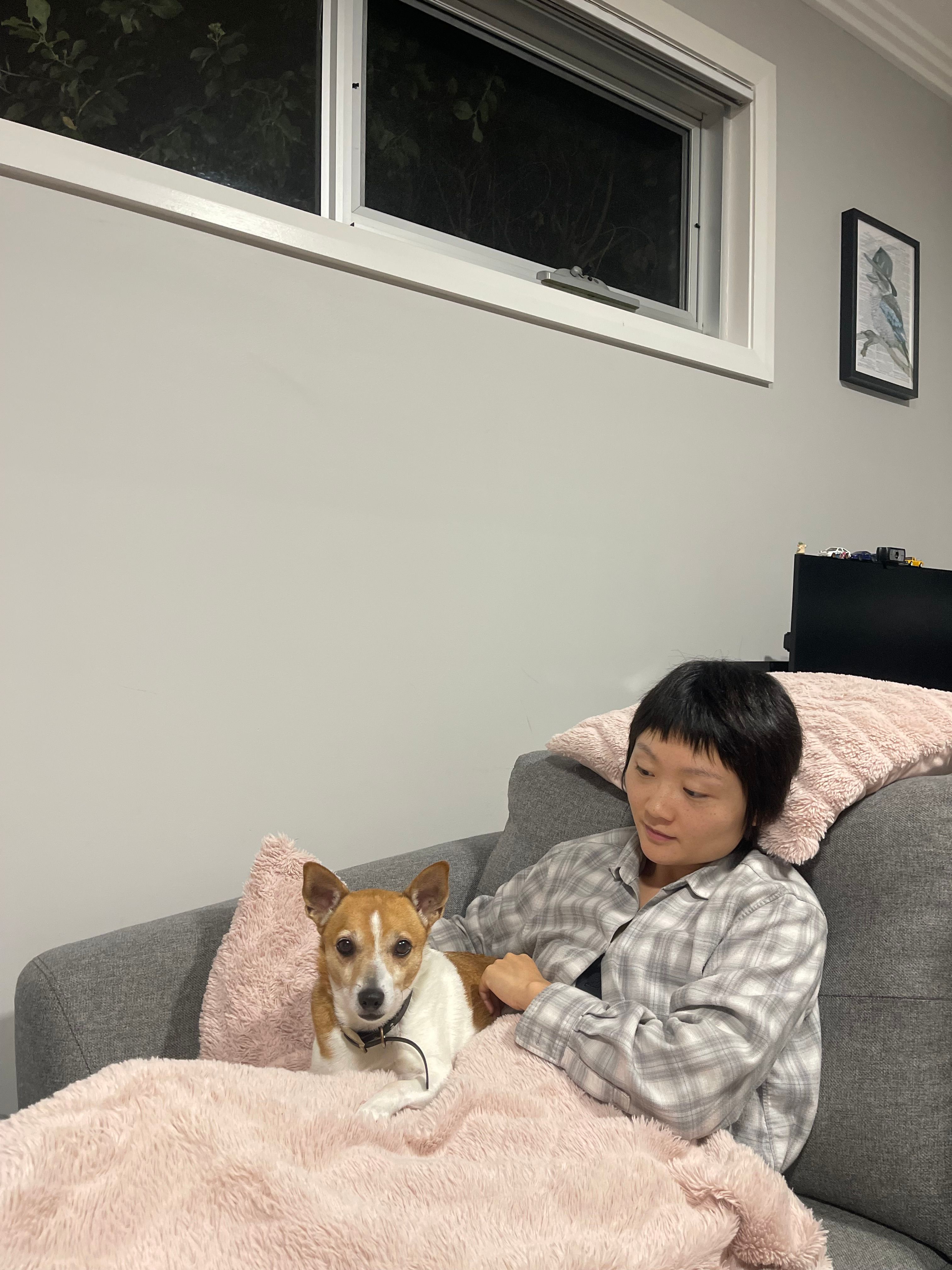 image-4