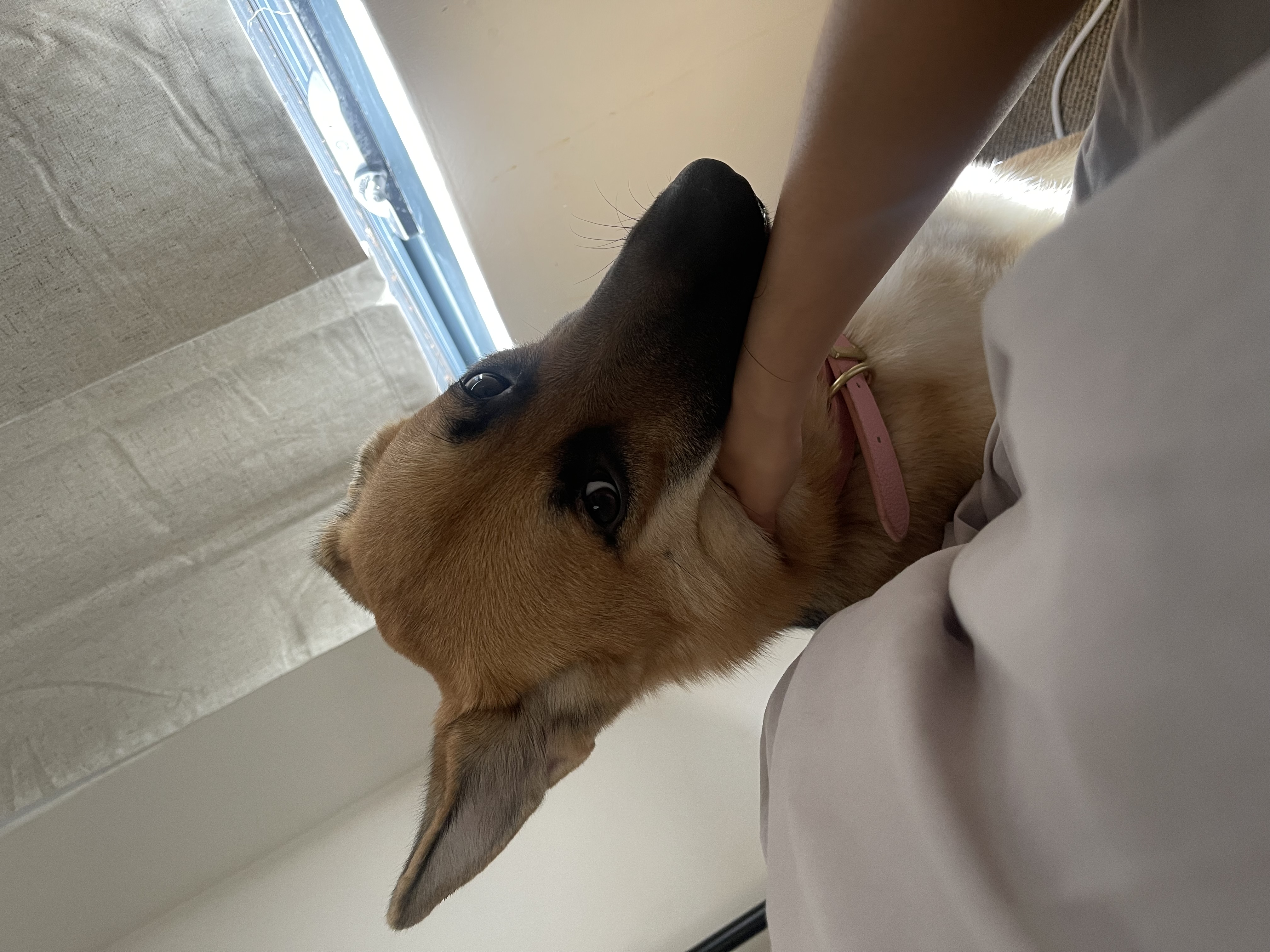 image-9