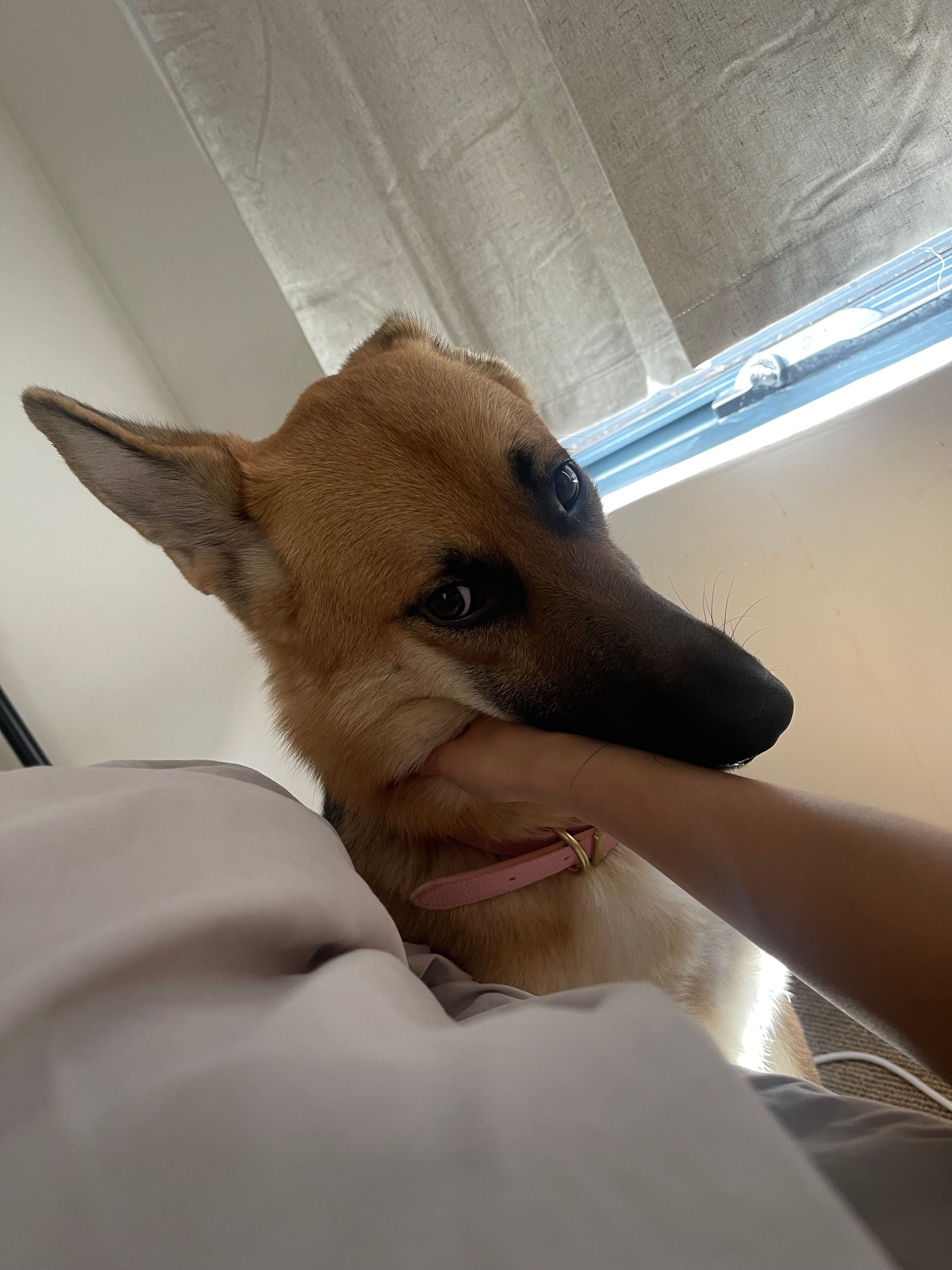 image-9