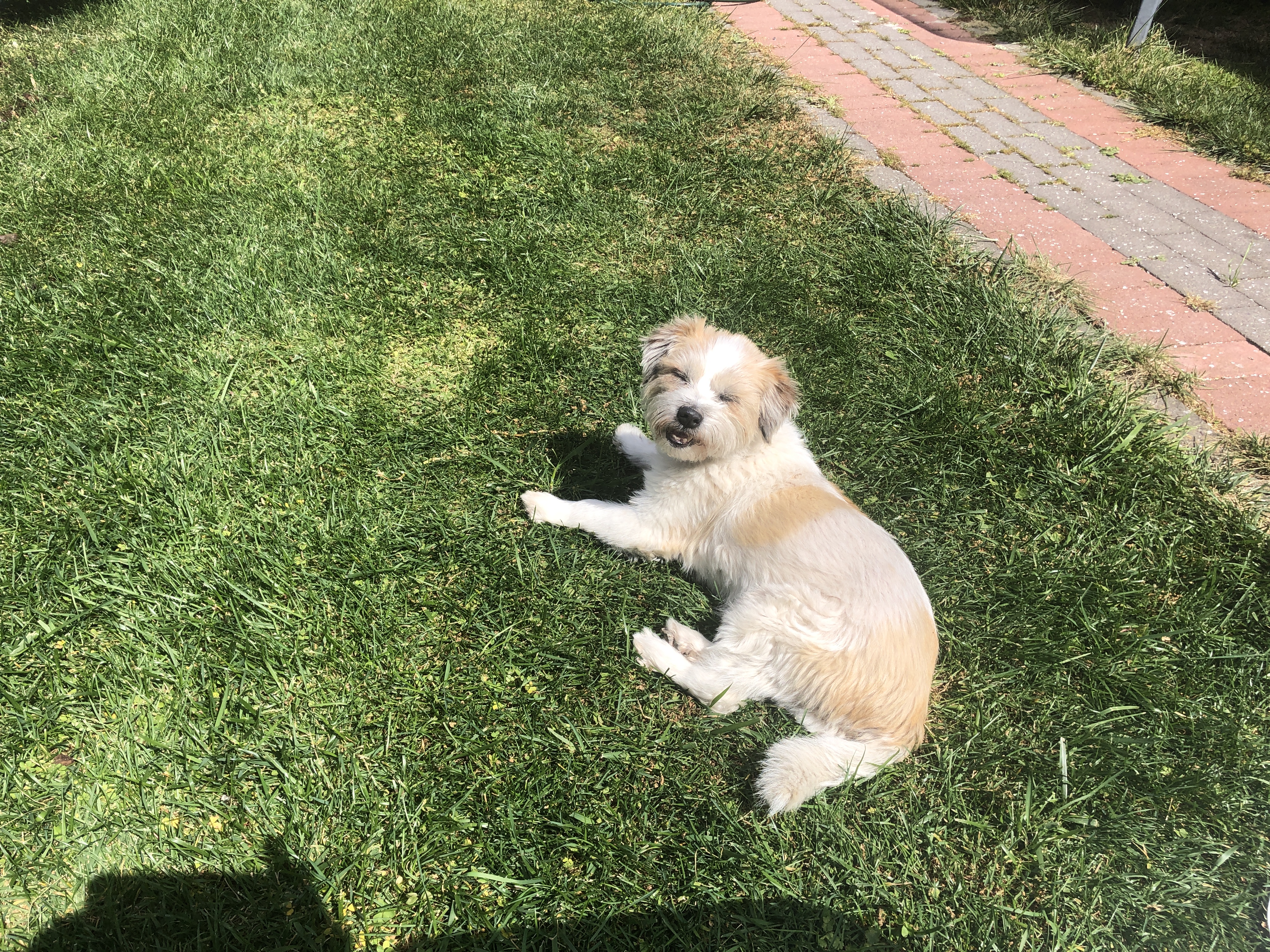 image-8
