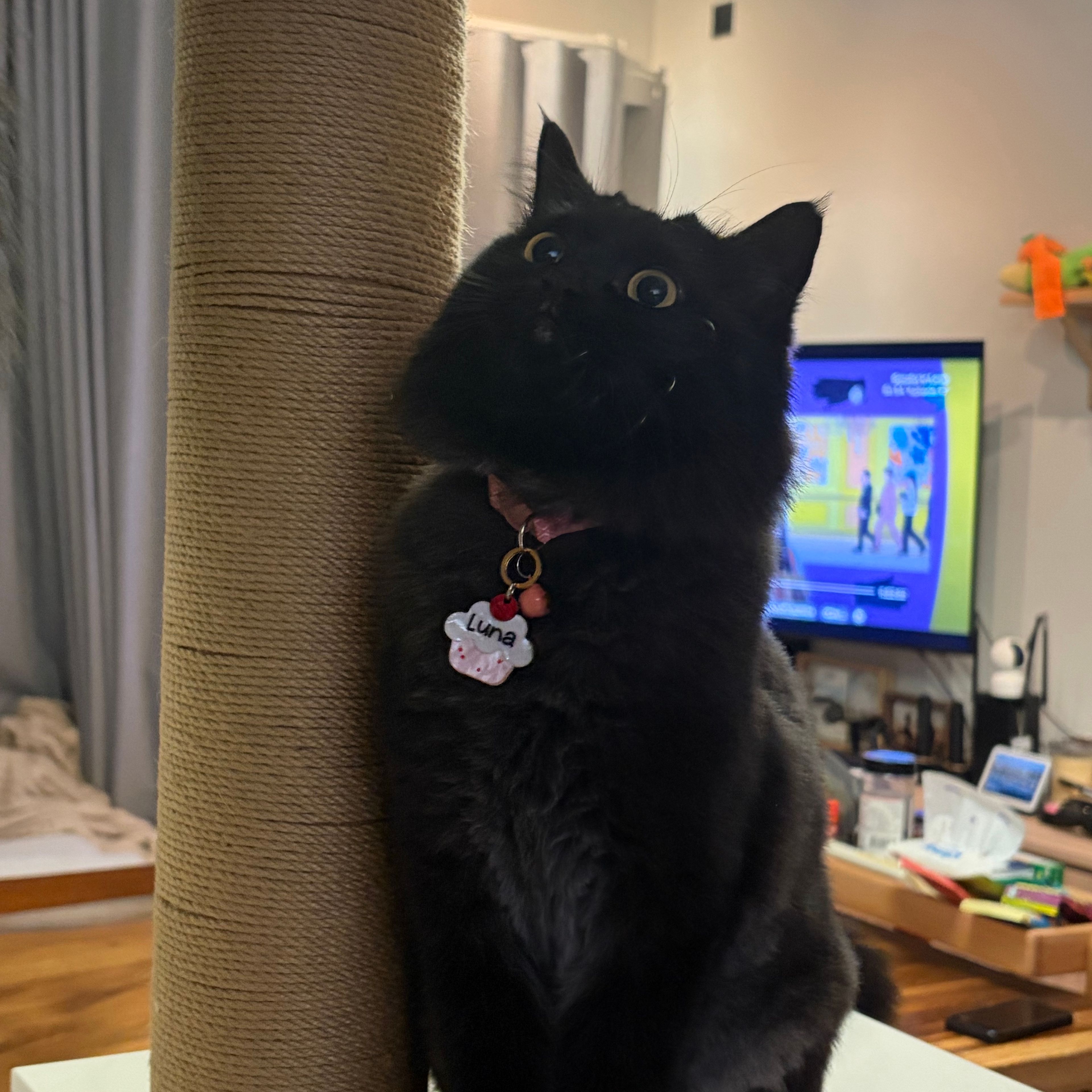 Luna