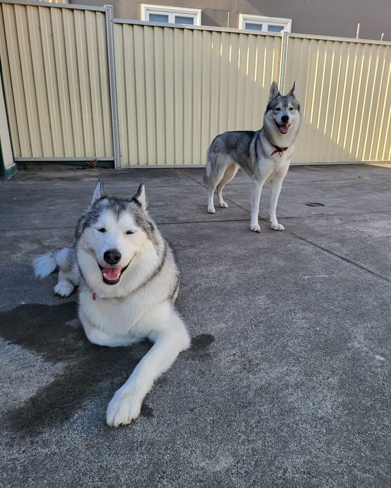 image-9