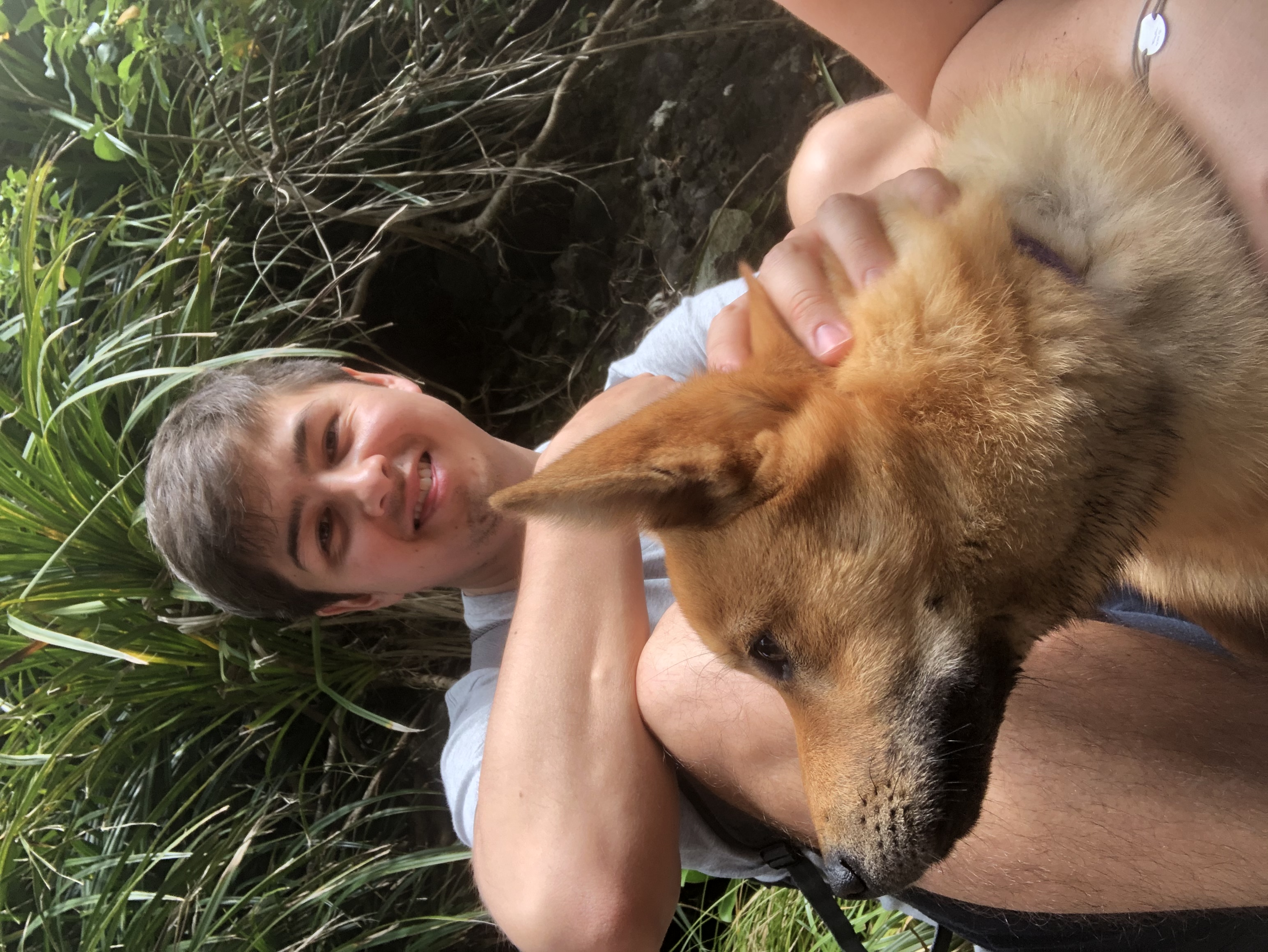 image-8