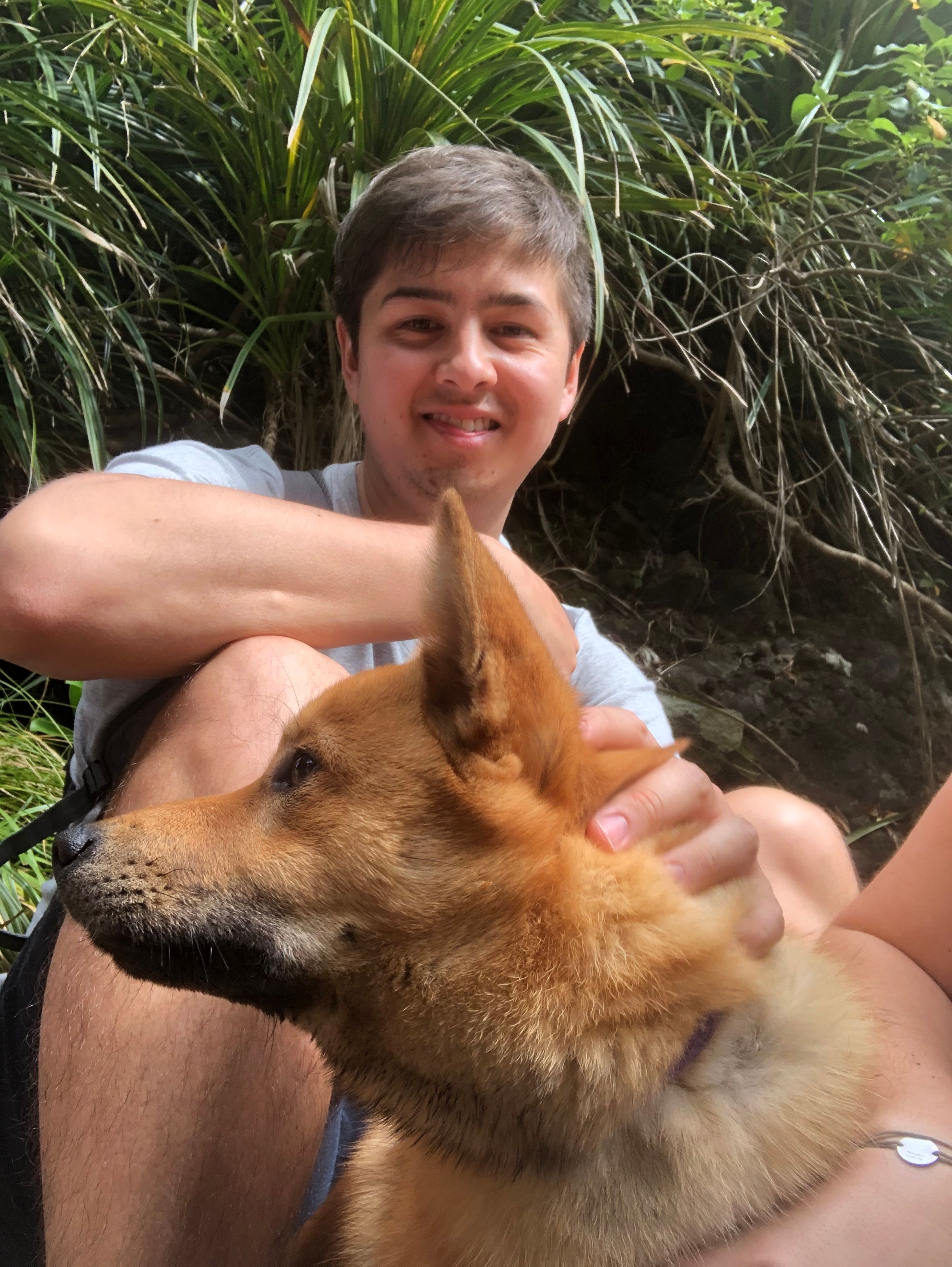 image-8