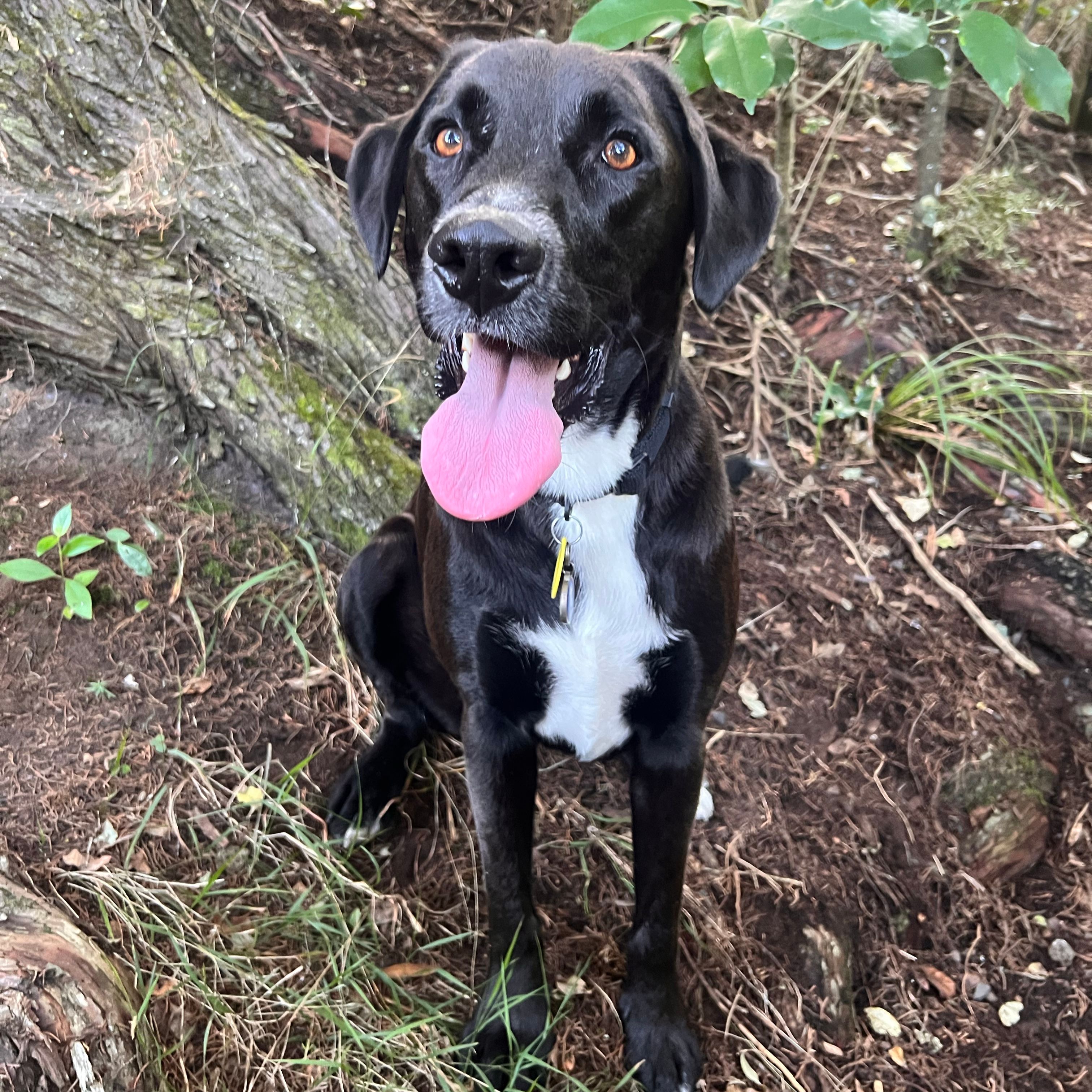Milo