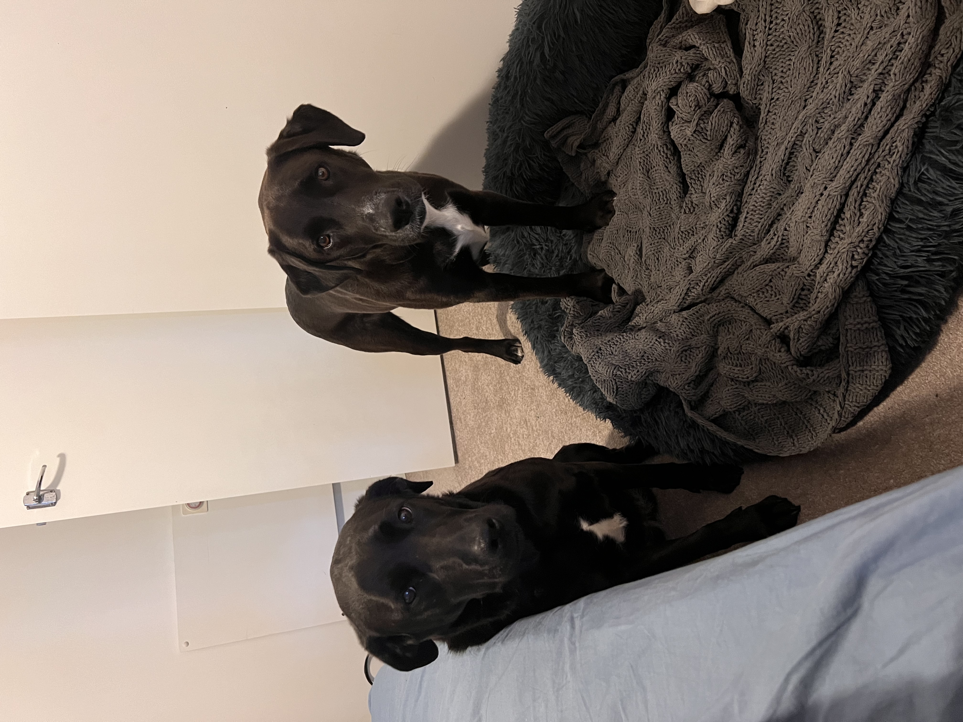 image-10